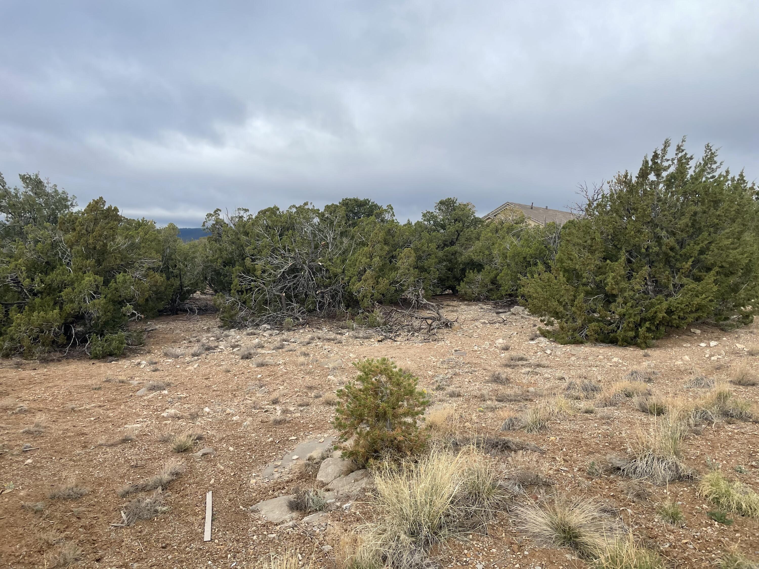 Homes for sale in Sandia Park, NM | 11 Raindance Rd, Sandia Park, NM 87047 | MLS# 1060005