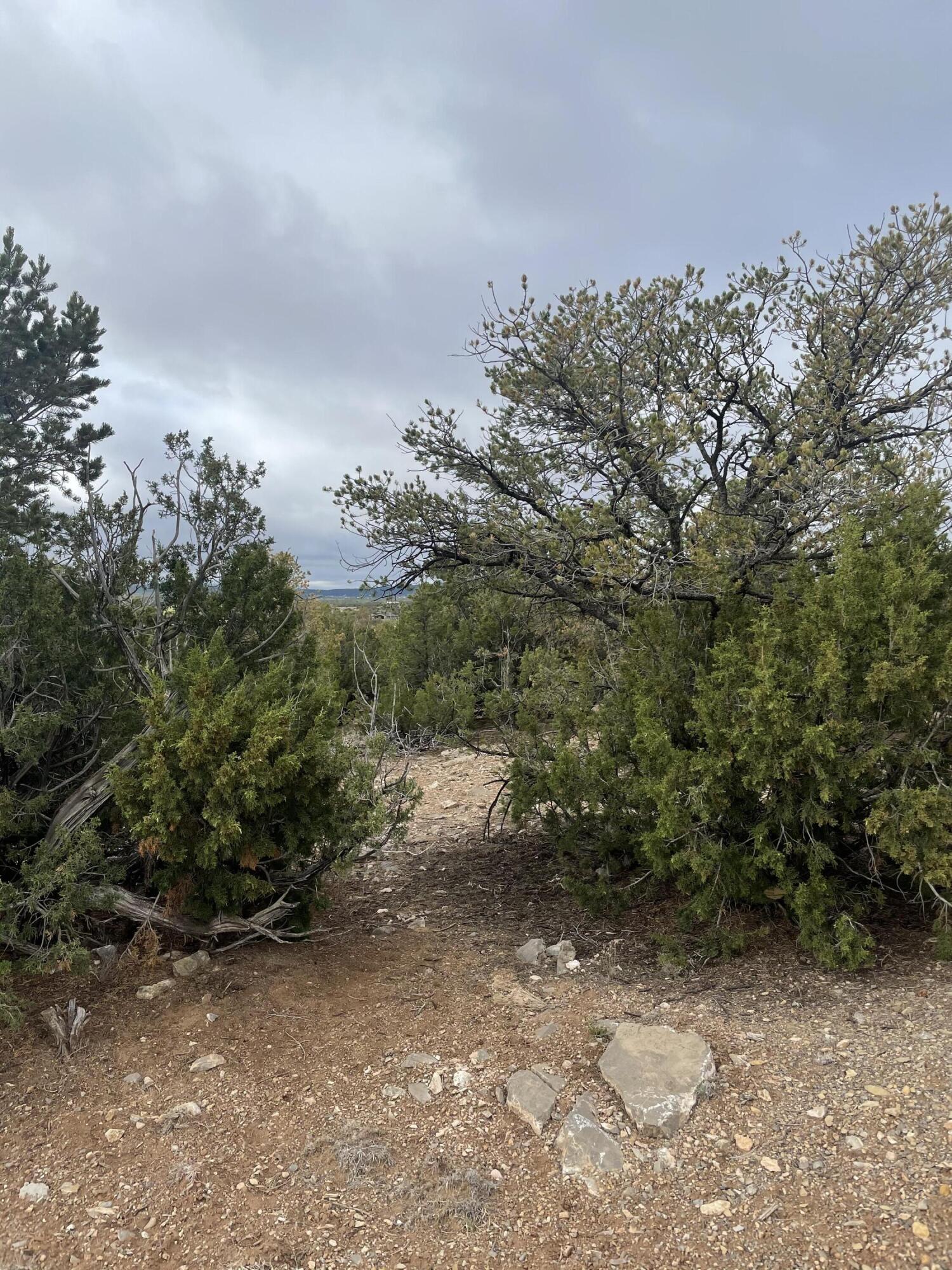 Homes for sale in Sandia Park, NM | 11 Raindance Rd, Sandia Park, NM 87047 | MLS# 1060005