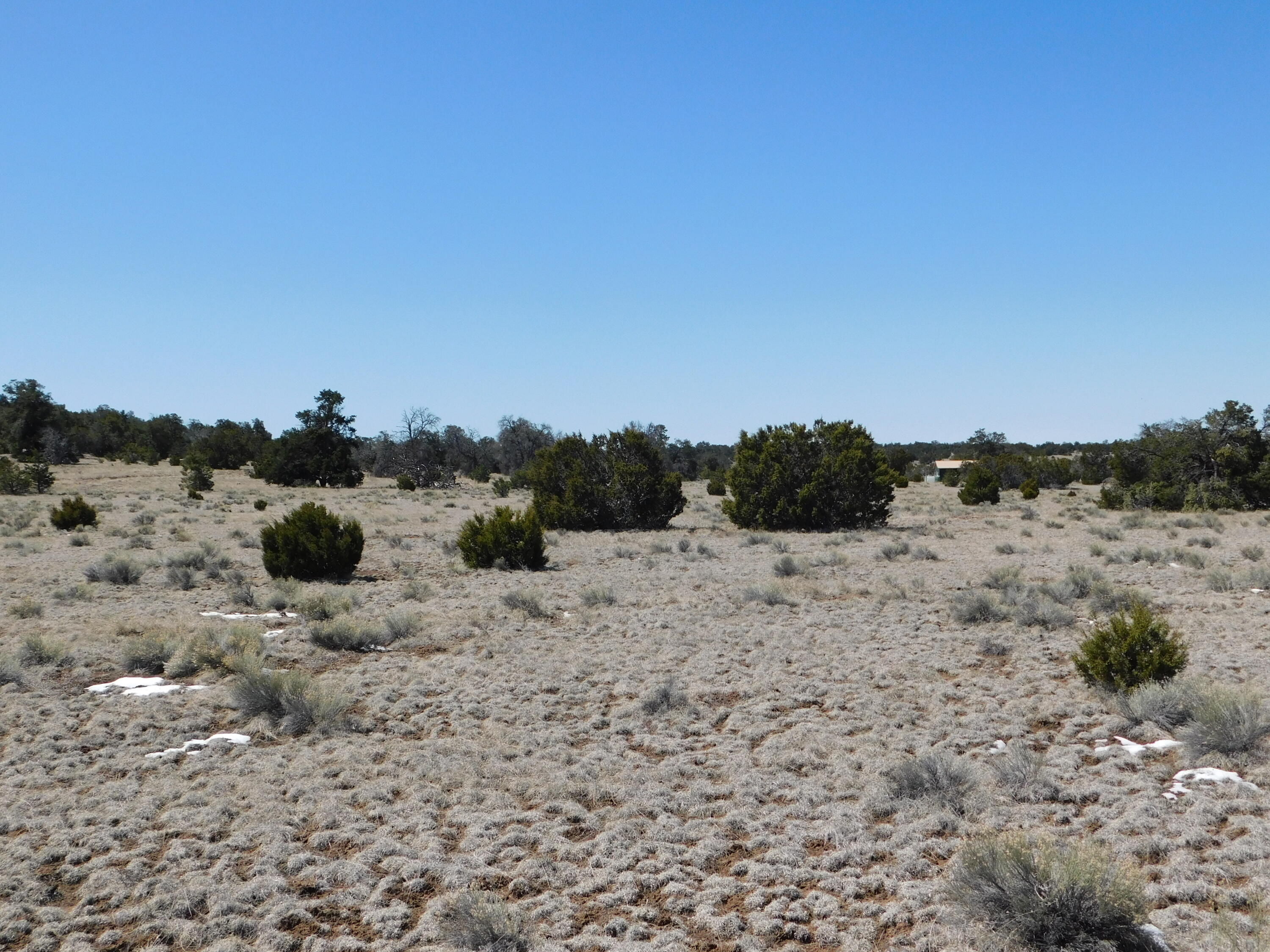 Homes for sale in Quemado, NM | Lot 5 Golden Horeshoe Trail, Quemado, NM 87829 | MLS# 1060265