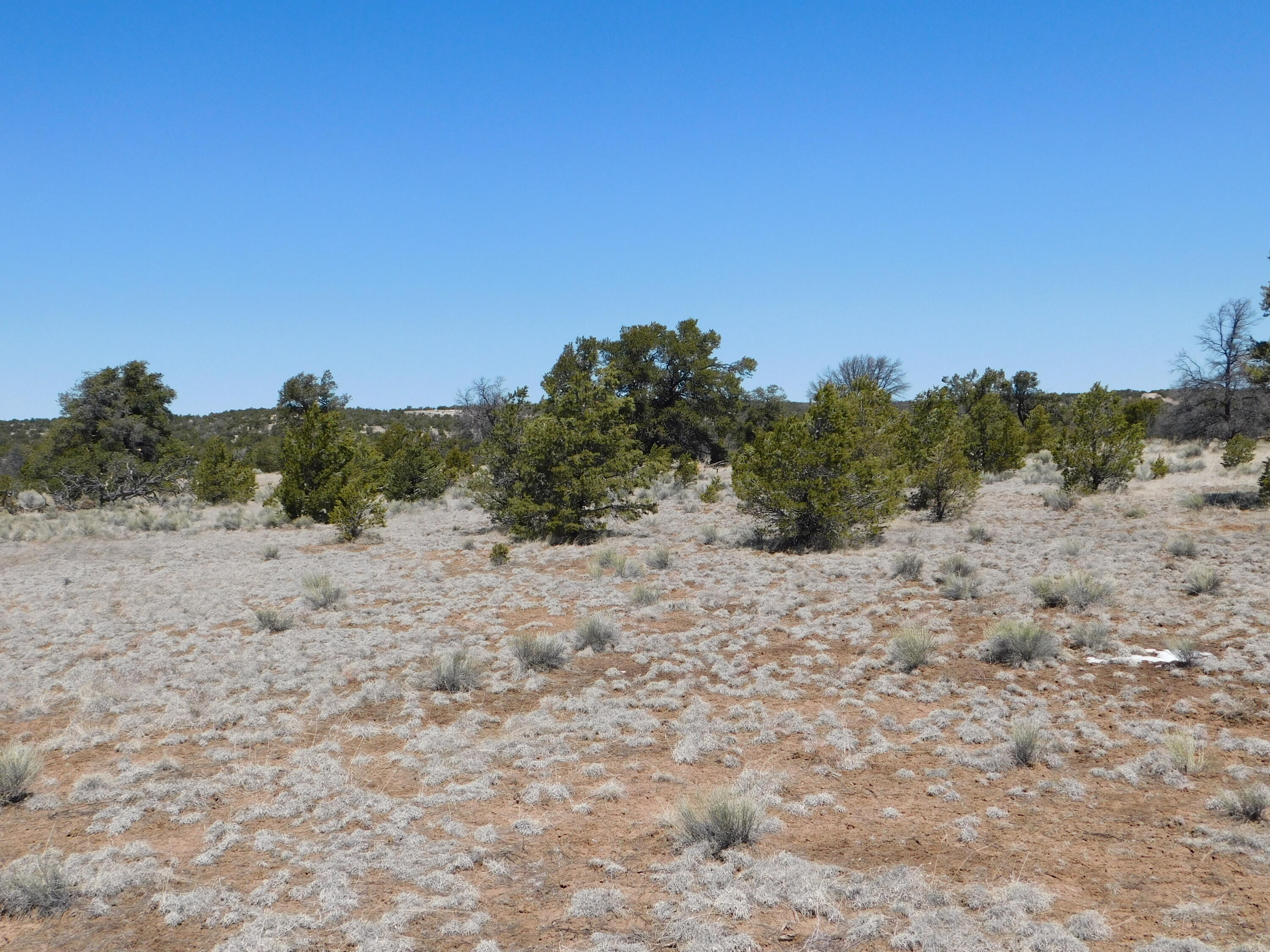 Homes for sale in Quemado, NM | Lot 5 Golden Horeshoe Trail, Quemado, NM 87829 | MLS# 1060265