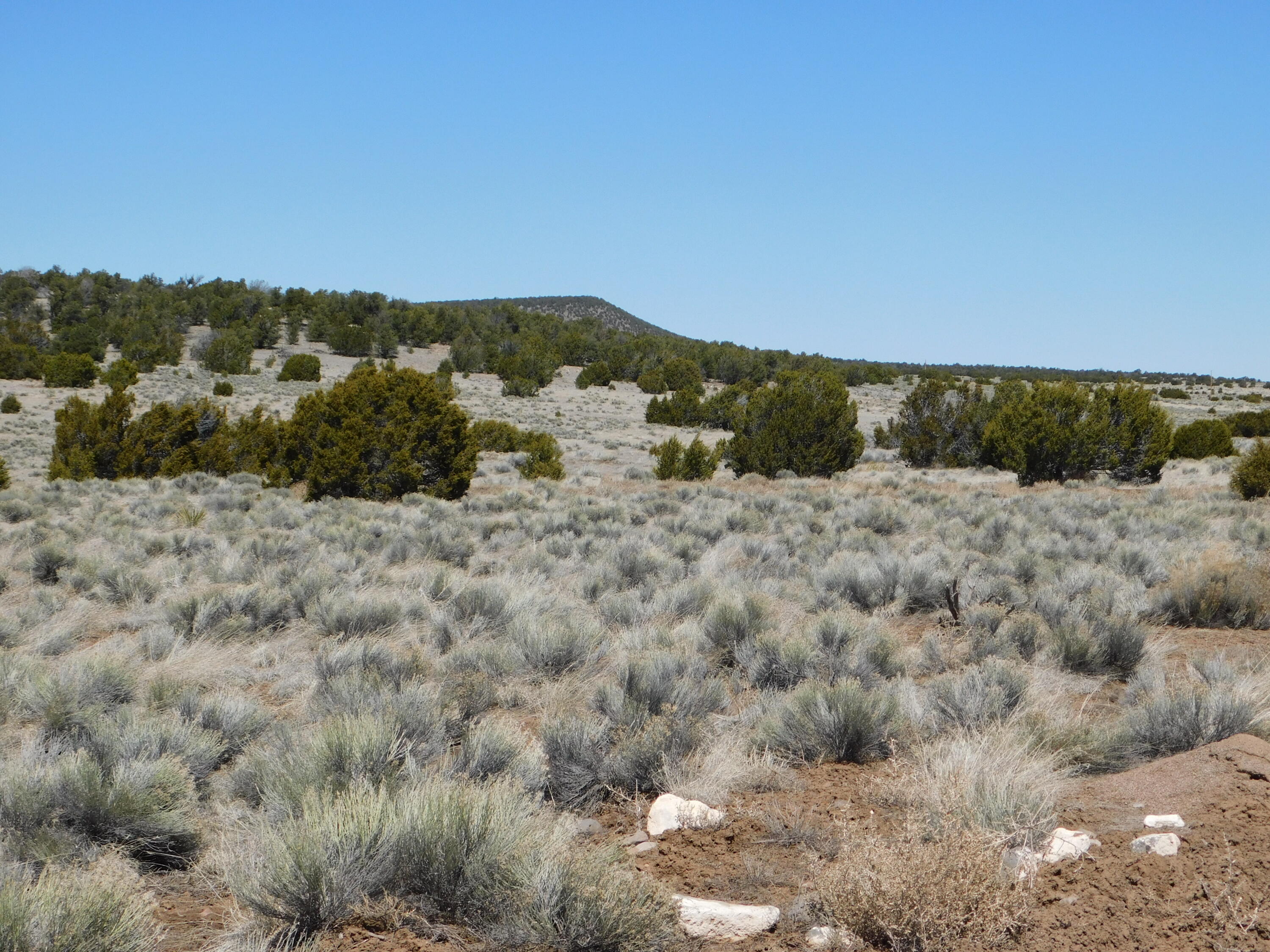 Homes for sale in Quemado, NM | Lot 67 Bronco Boulevard, Quemado, NM 87829 | MLS# 1060268