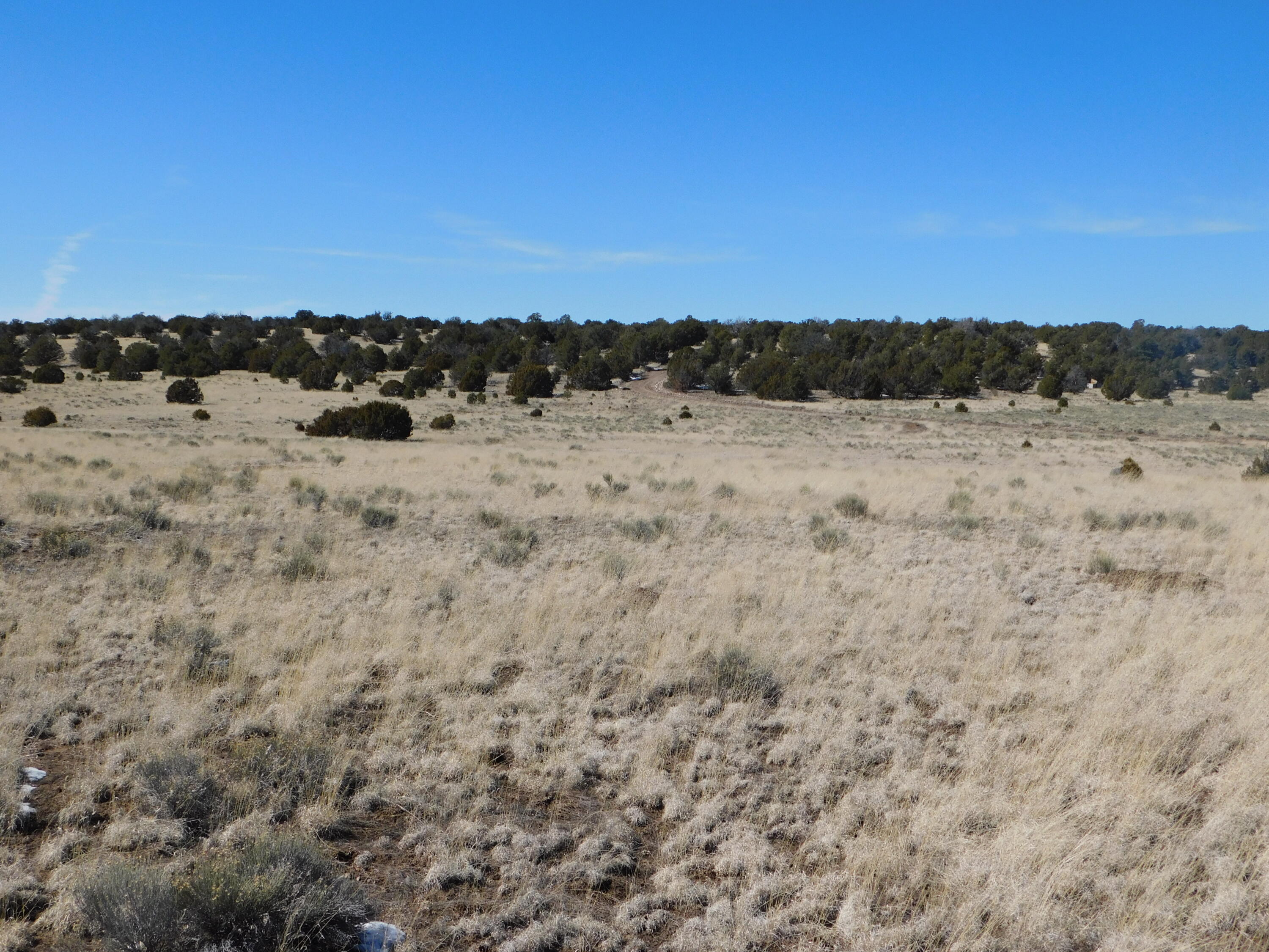 Homes for sale in Quemado, NM | Lot 67 Bronco Boulevard, Quemado, NM 87829 | MLS# 1060268