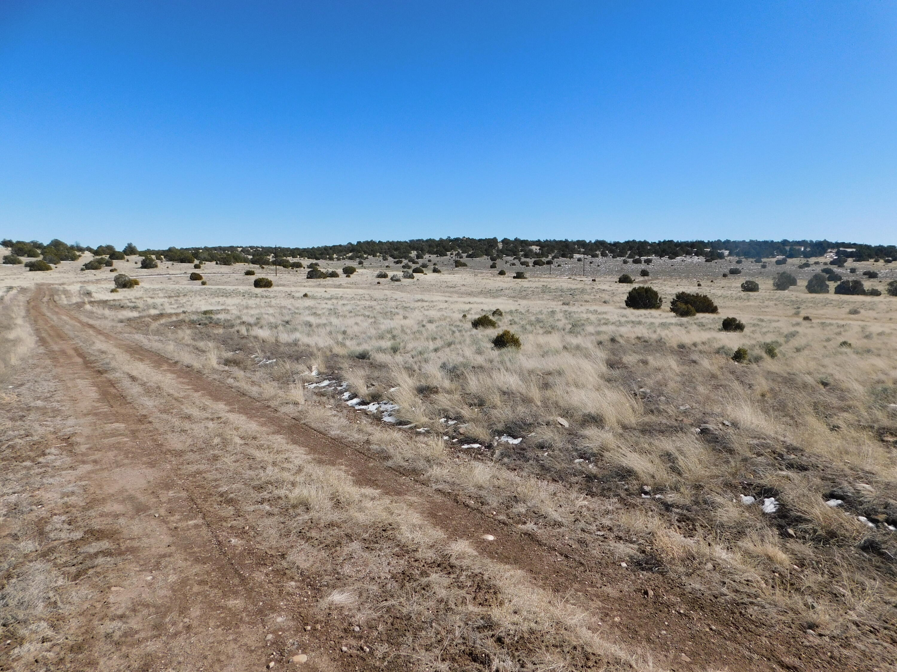 Homes for sale in Quemado, NM | Lot 67 Bronco Boulevard, Quemado, NM 87829 | MLS# 1060268
