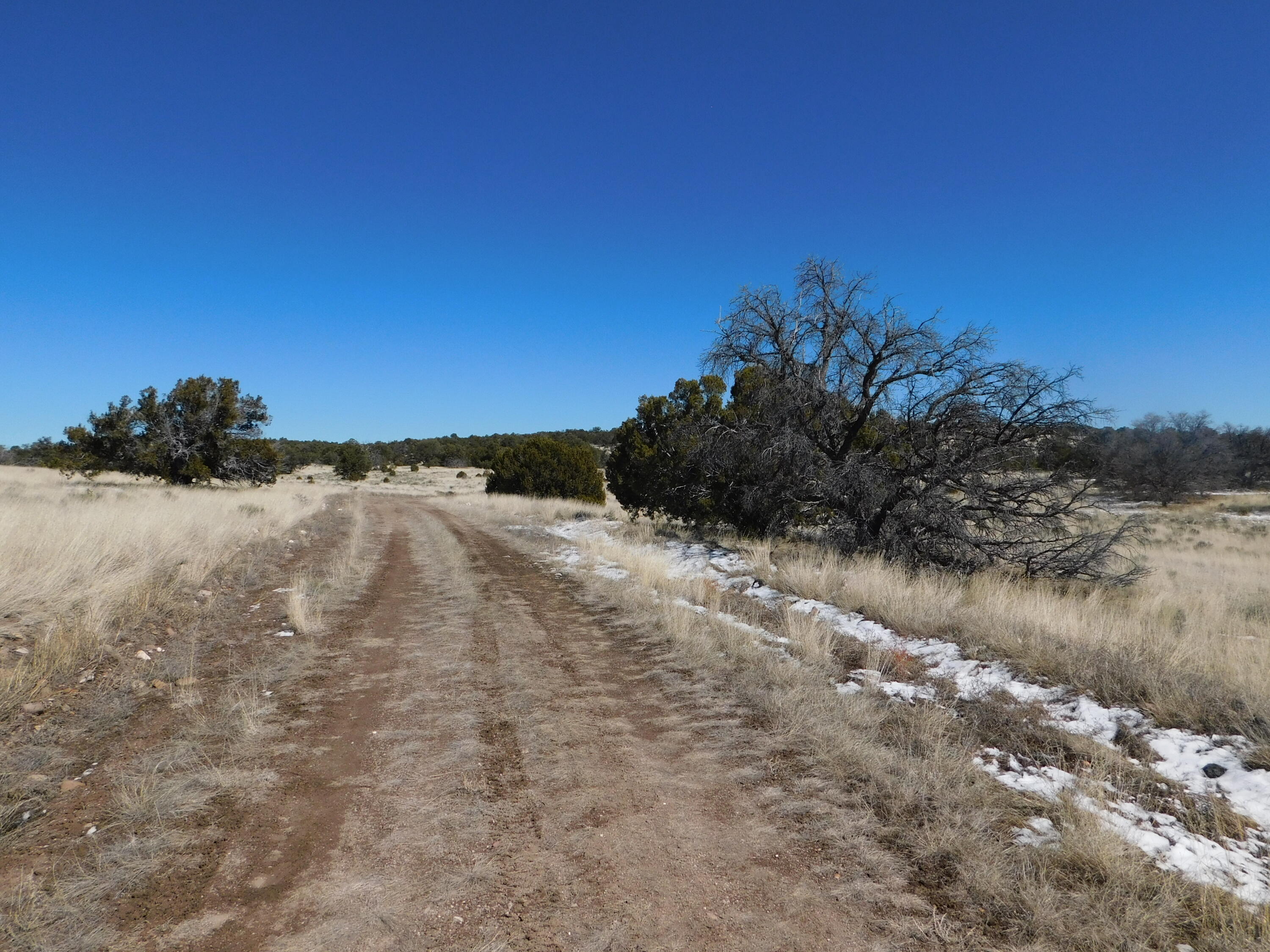 Homes for sale in Quemado, NM | Lot 56 Bronco Boulevard, Quemado, NM 87829 | MLS# 1060272