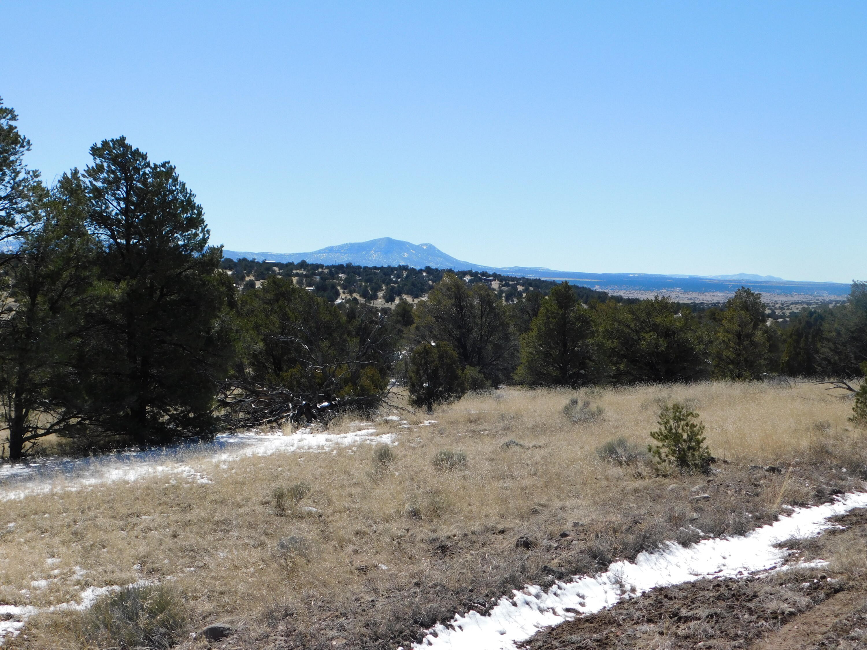 Homes for sale in Quemado, NM | Lot 56 Bronco Boulevard, Quemado, NM 87829 | MLS# 1060272