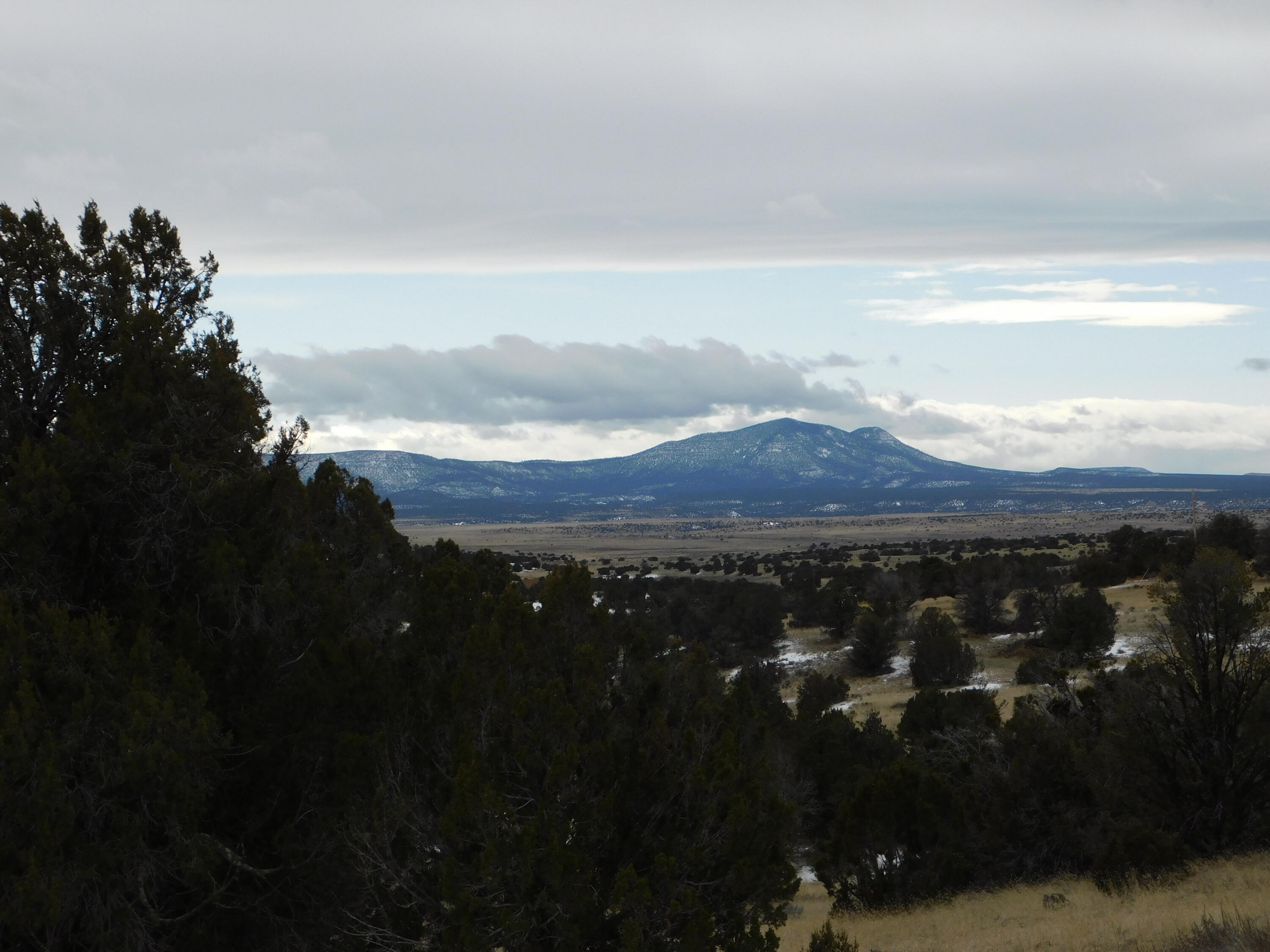 Homes for sale in Quemado, NM | Lot 56 Bronco Boulevard, Quemado, NM 87829 | MLS# 1060272