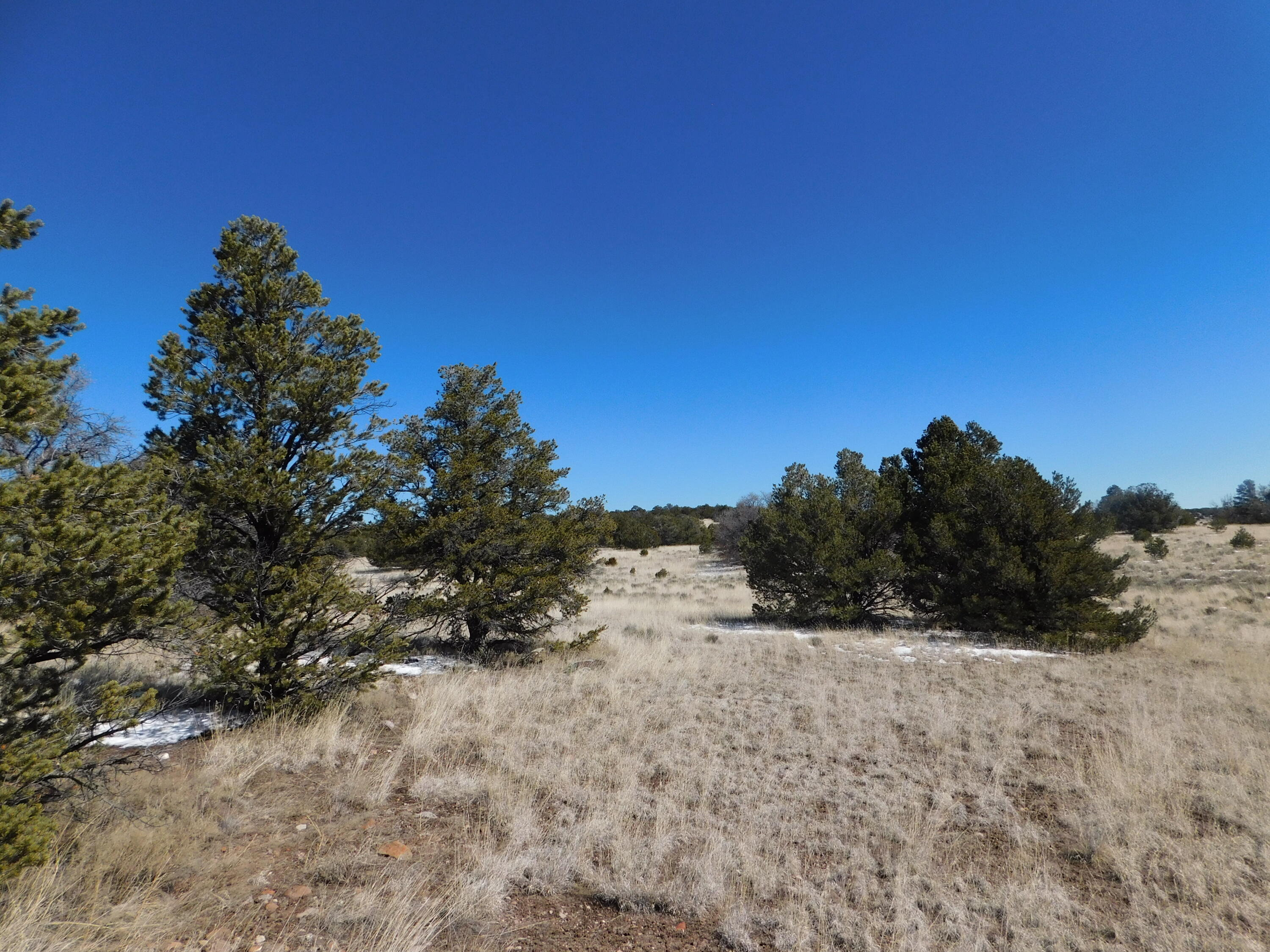 Photo 20 — Lot 56 Bronco Boulevard