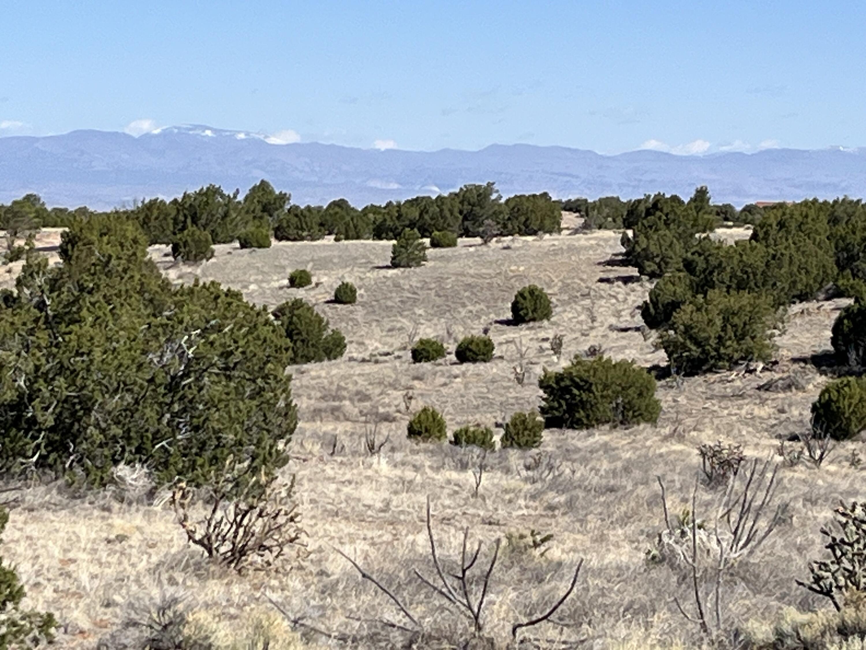 Homes for sale in Sandia Park, NM | Lot 3 Turquoise Dr, Sandia Park, NM 87047 | MLS# 1060733