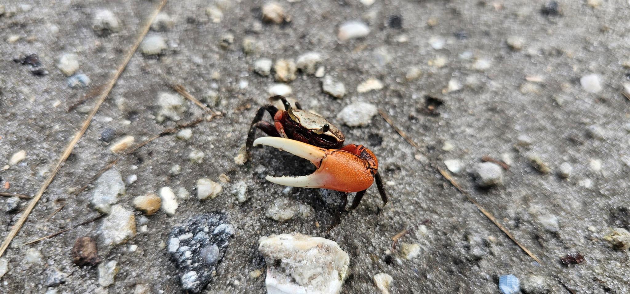 Homes for sale in Fort Pierce, FL | Tbd S Ocean Dr, Fort Pierce, FL 34949 | MLS# R10979996