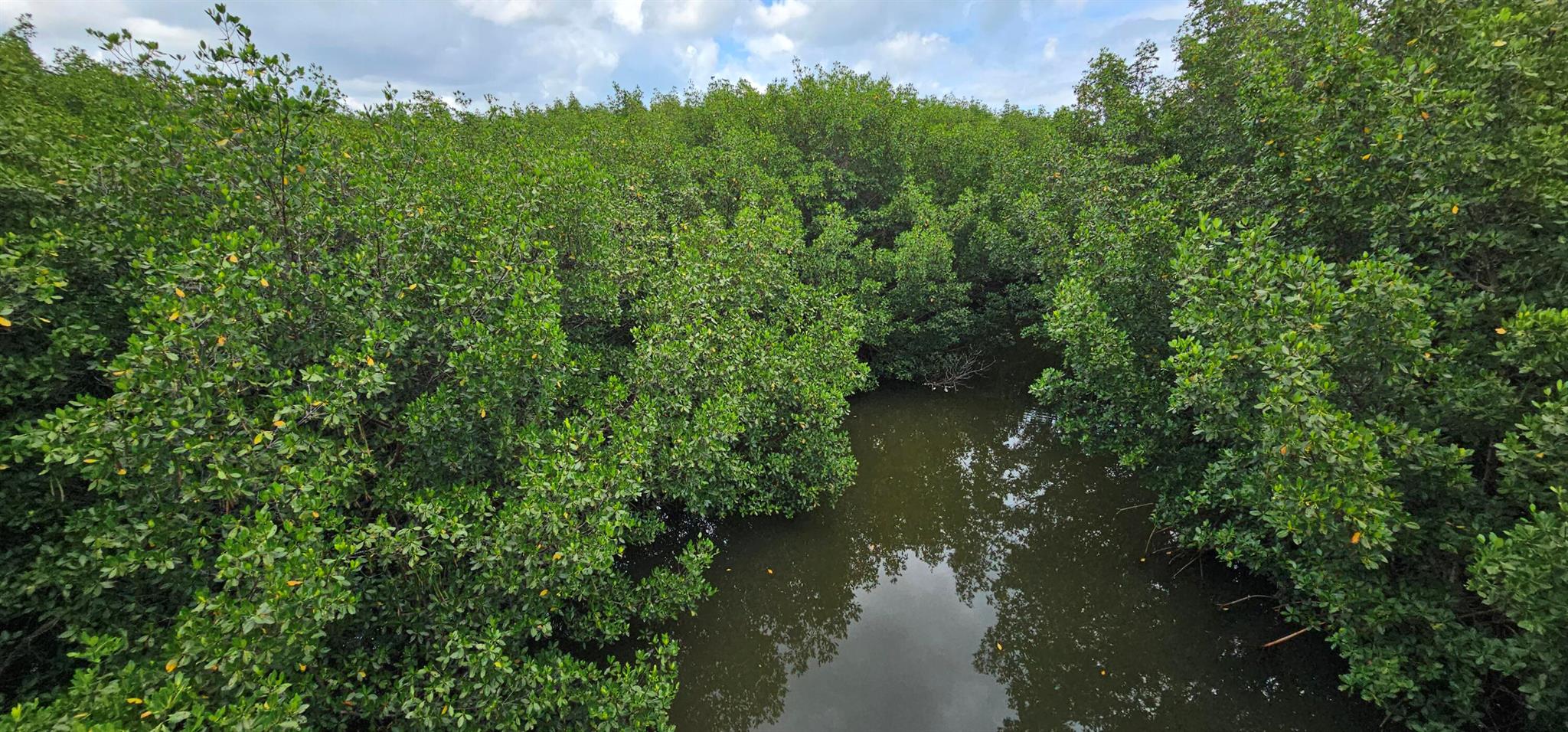 Homes for sale in Fort Pierce, FL | Tbd S Ocean Dr, Fort Pierce, FL 34949 | MLS# R10979996