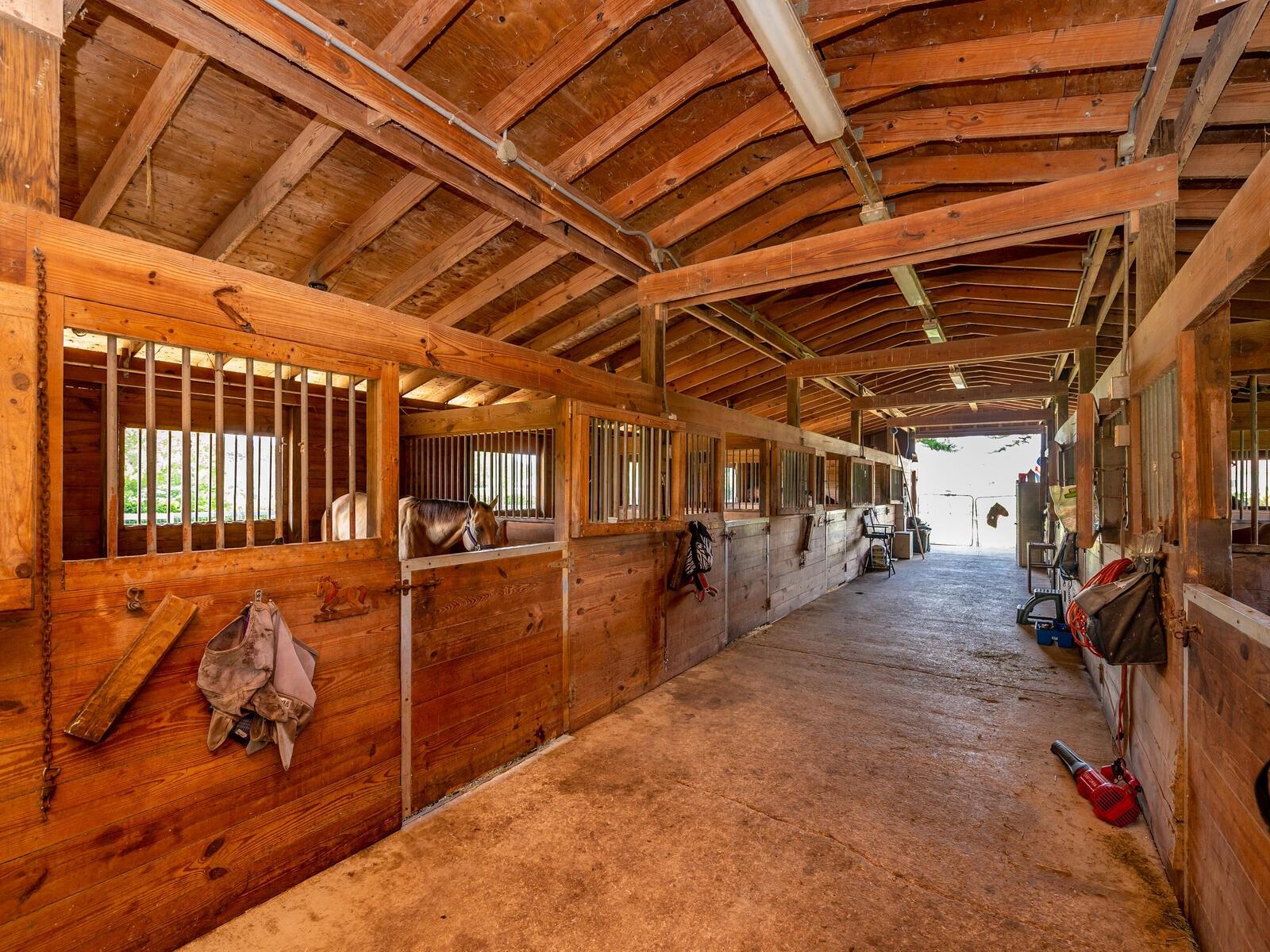 ALL STALLS WITH FANS