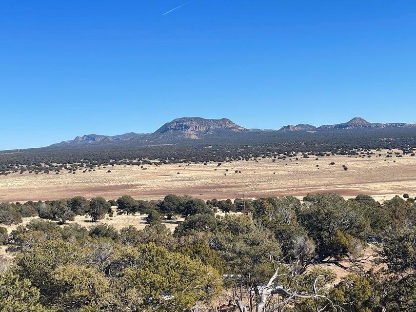 Homes for sale in Pie Town, NM | 319 Hwy 603, Pie Town, NM 87827 | MLS# 1061422