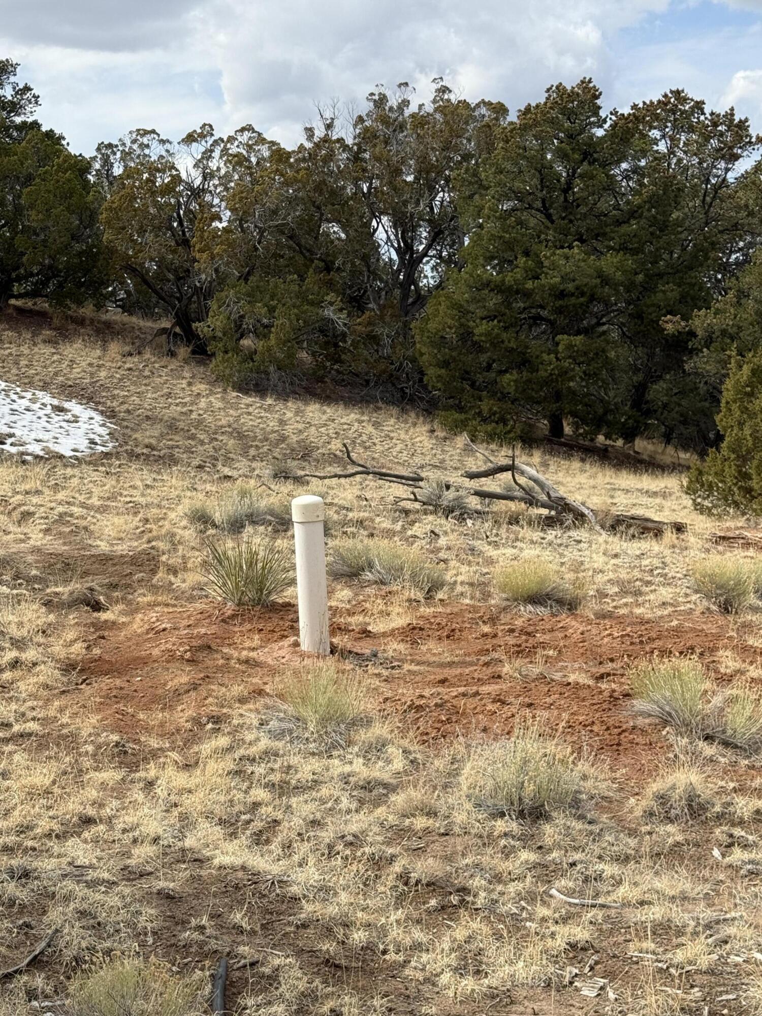 Homes for sale in Pie Town, NM | 319 Hwy 603, Pie Town, NM 87827 | MLS# 1061422