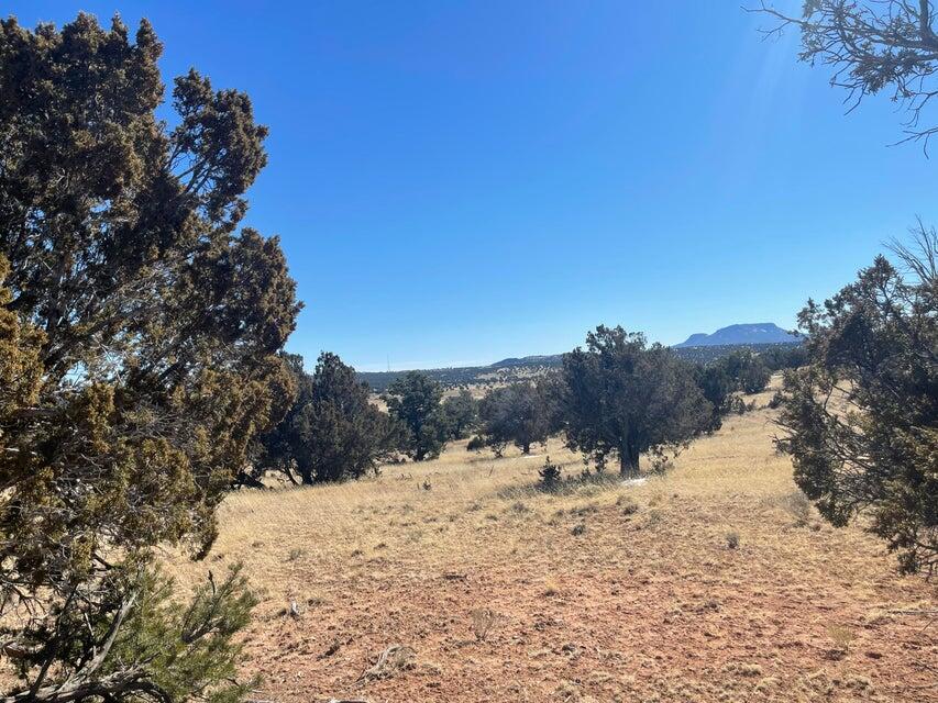 Homes for sale in Pie Town, NM | 319 Hwy 603, Pie Town, NM 87827 | MLS# 1061422