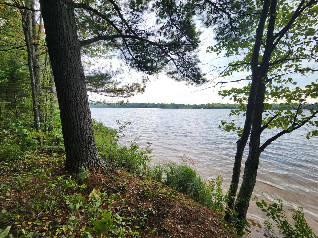 Middle Sugarbush Lake Property Parcel A Sugarbush Tr Photo 1