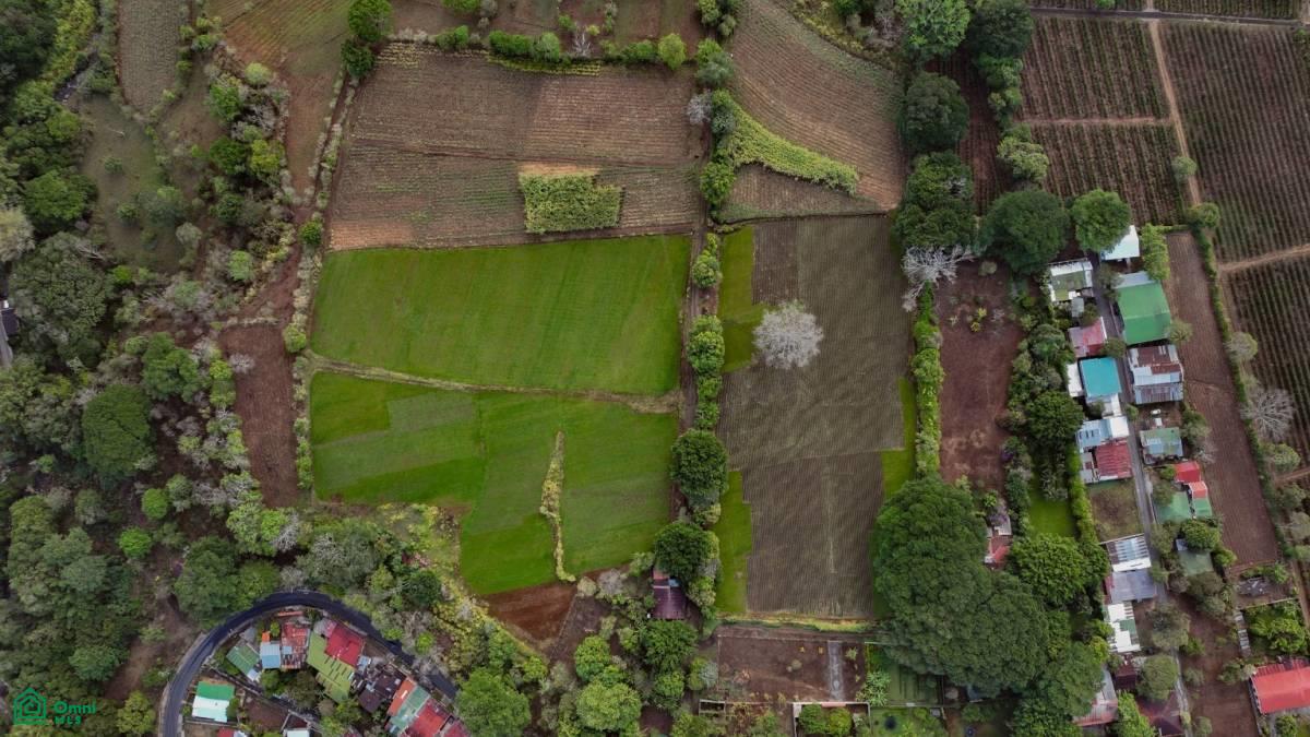 0 bed Land For Sale in , Alajuela - 1
