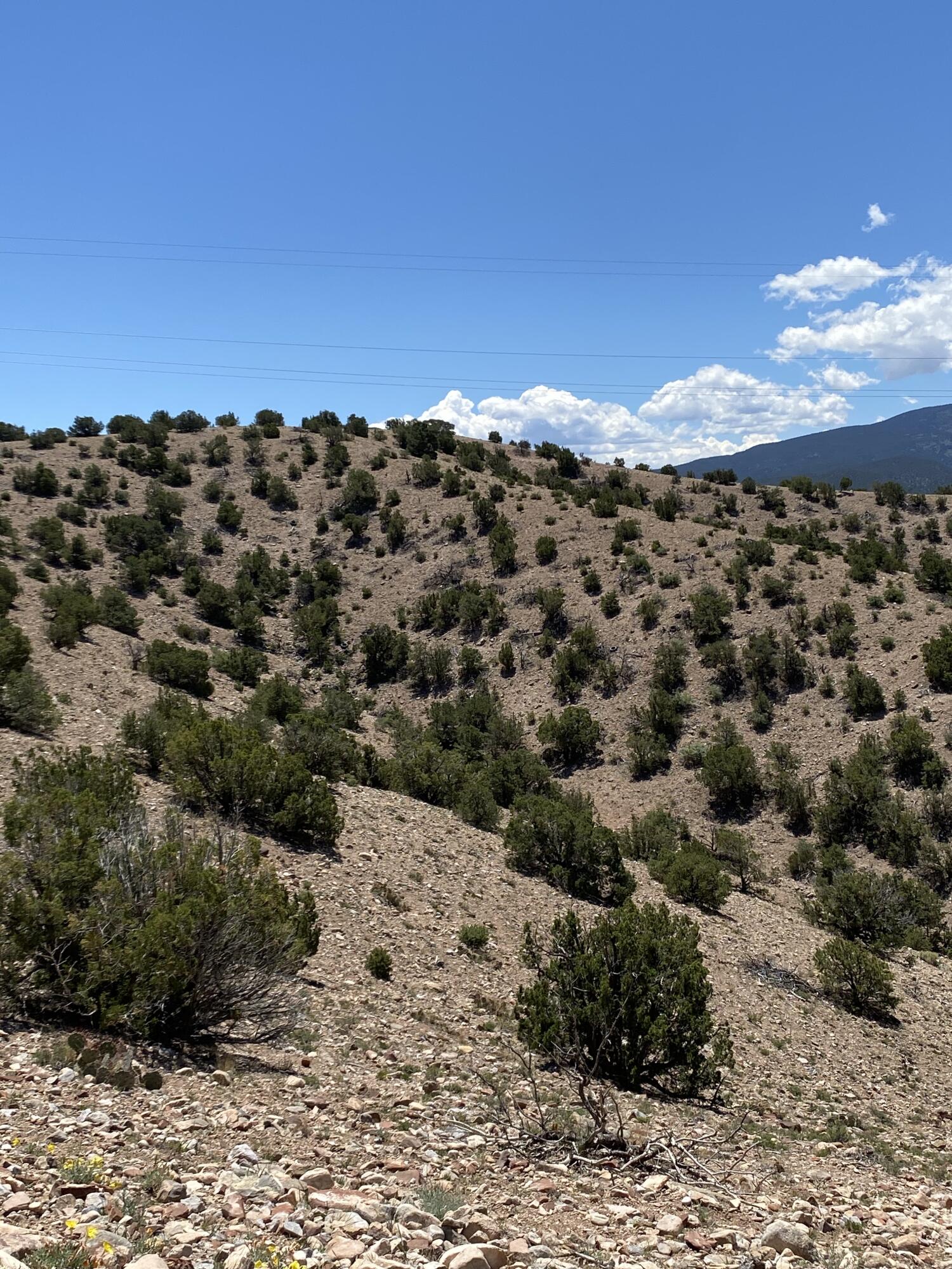 Homes for sale in Placitas, NM | Camino Halcon, Placitas, NM 87043 | MLS# 1062571