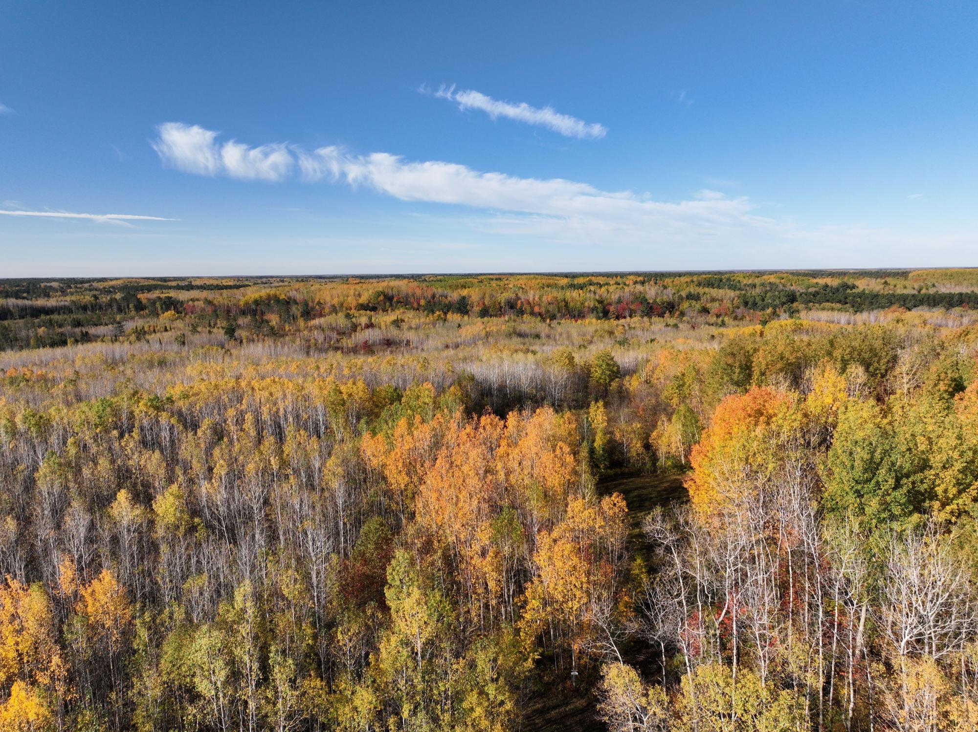 River Property Property NEAR Rocky Run Rd Photo 13