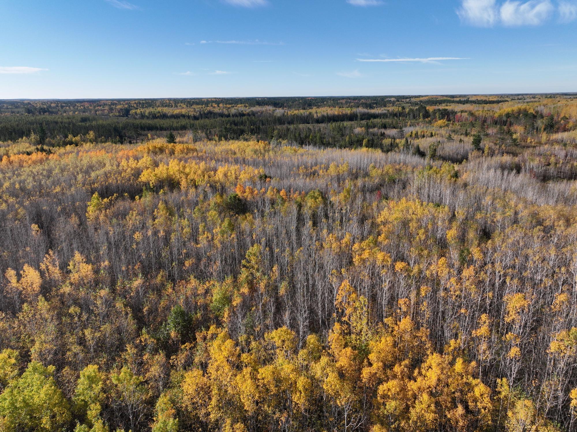 River Property Property NEAR Rocky Run Rd Photo 2