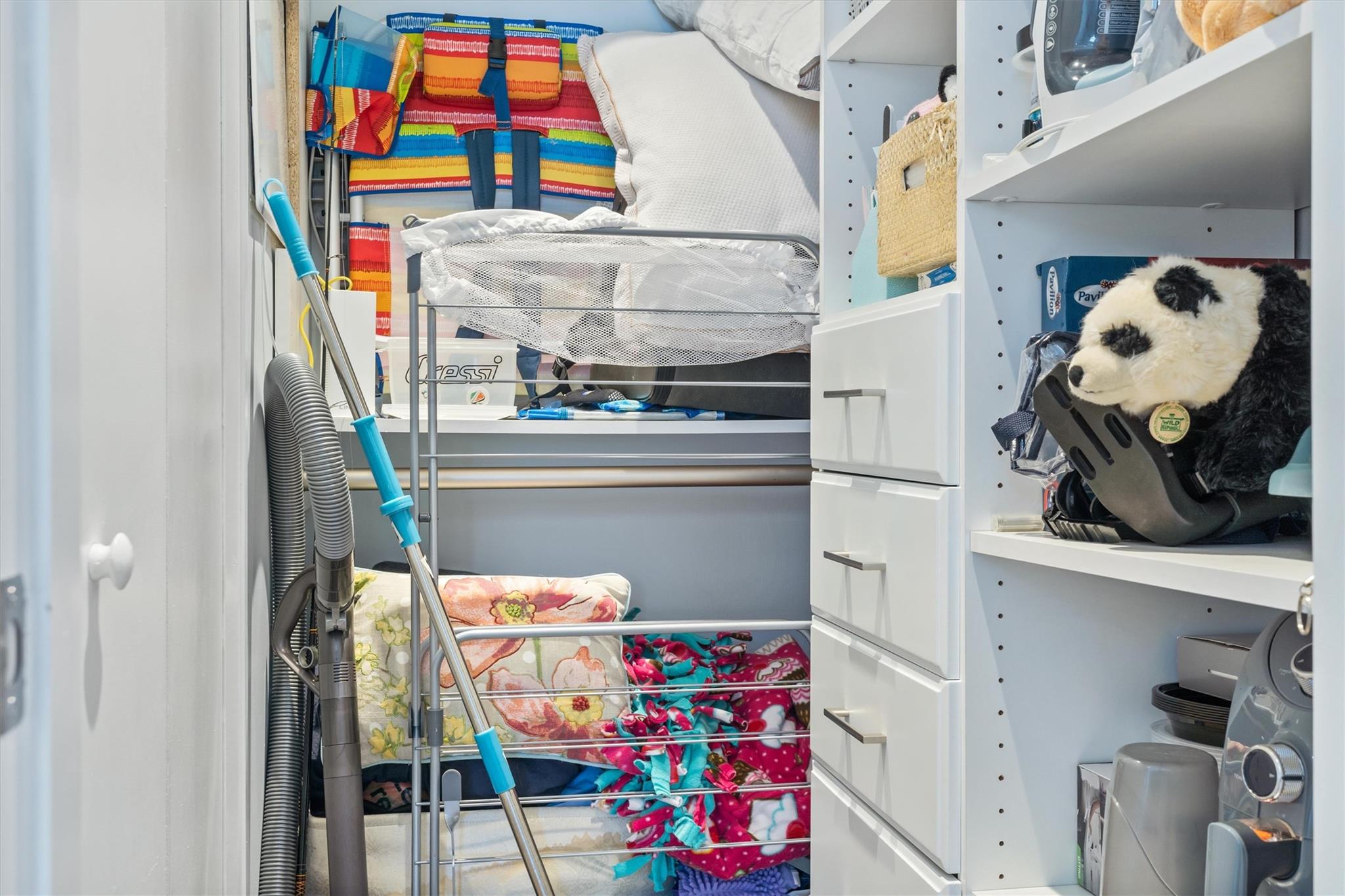 Guest Bedroom Walk In Closet