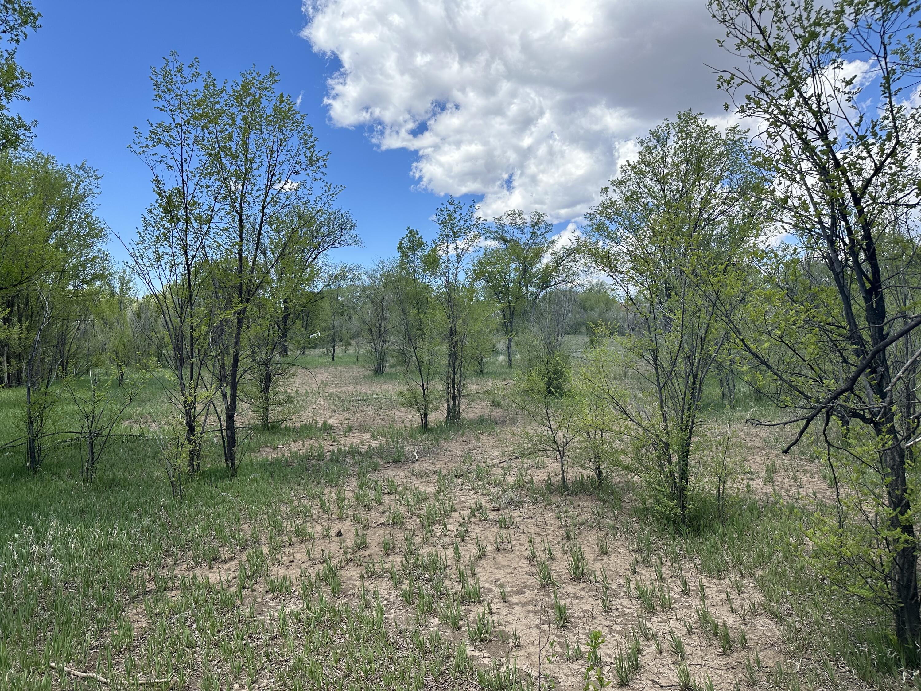 Homes for sale in Las Vegas, NM | 412 S Grand Ave, Las Vegas, NM 87701 | MLS# 1063322