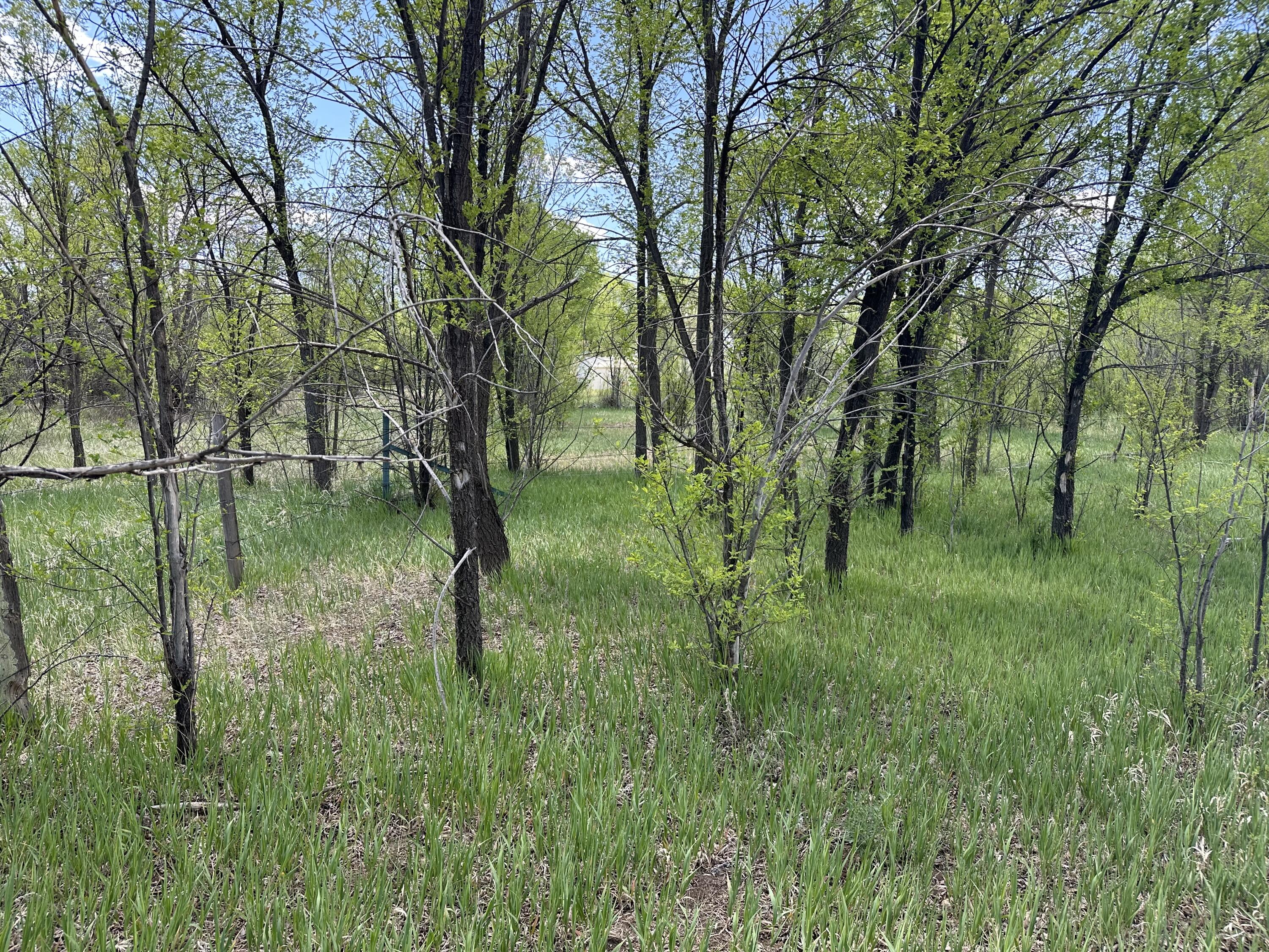 Homes for sale in Las Vegas, NM | 412 S Grand Ave, Las Vegas, NM 87701 | MLS# 1063322