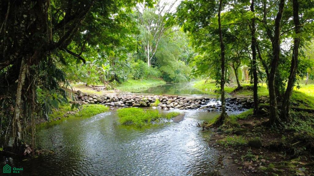0 bed Land For Sale in Sarapiqui, Heredia - 1