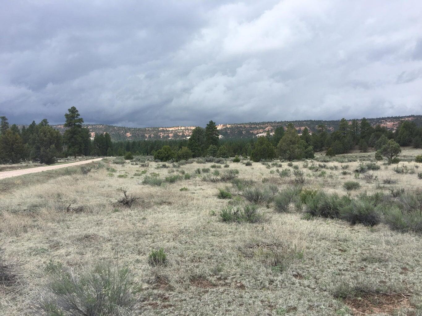 Homes for sale in Ramah, NM | Lot 2 East Elk Rd, Ramah, NM 87321 | MLS# 1064006