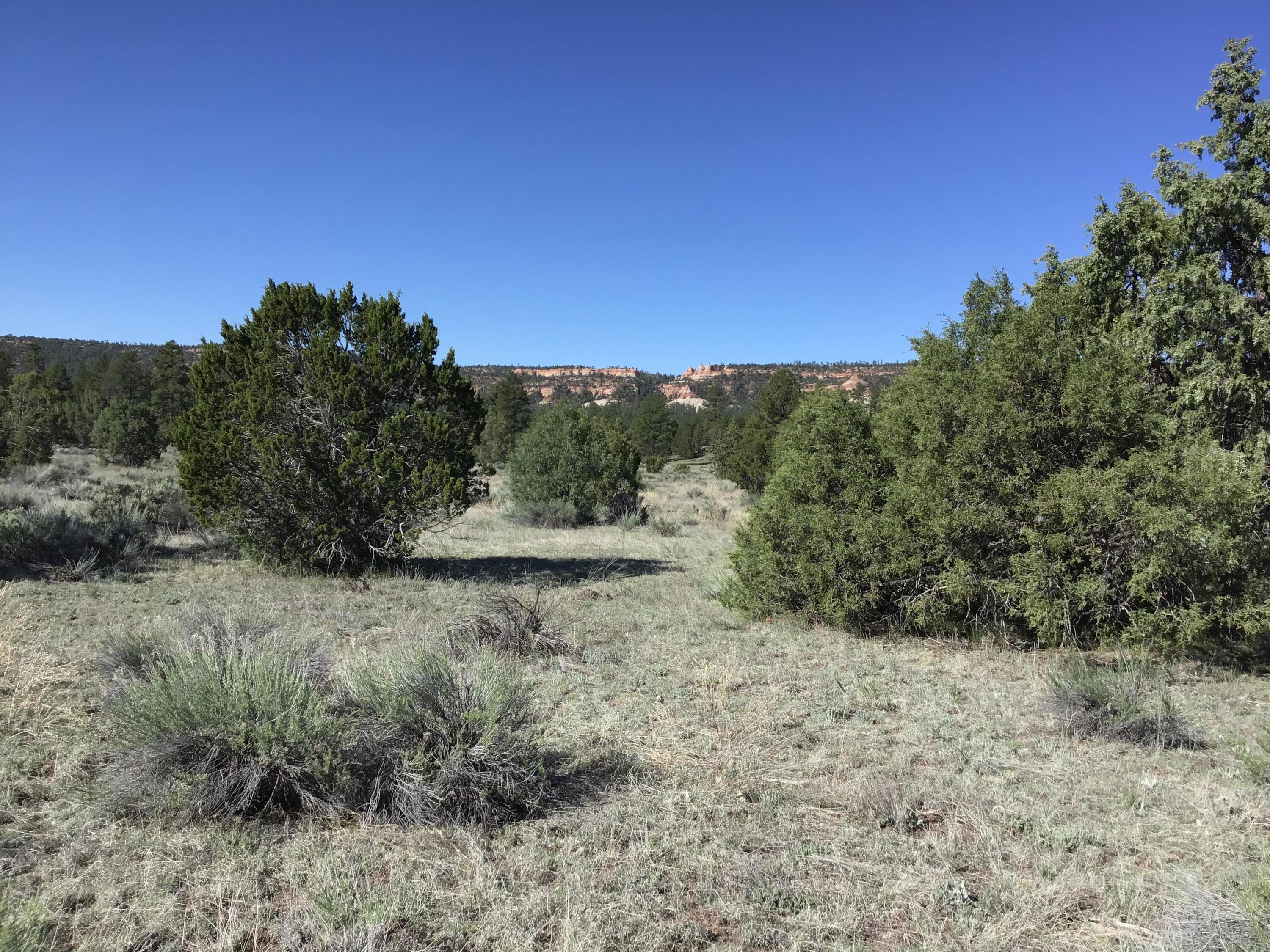 Homes for sale in Ramah, NM | Lot 2 East Elk Rd, Ramah, NM 87321 | MLS# 1064006