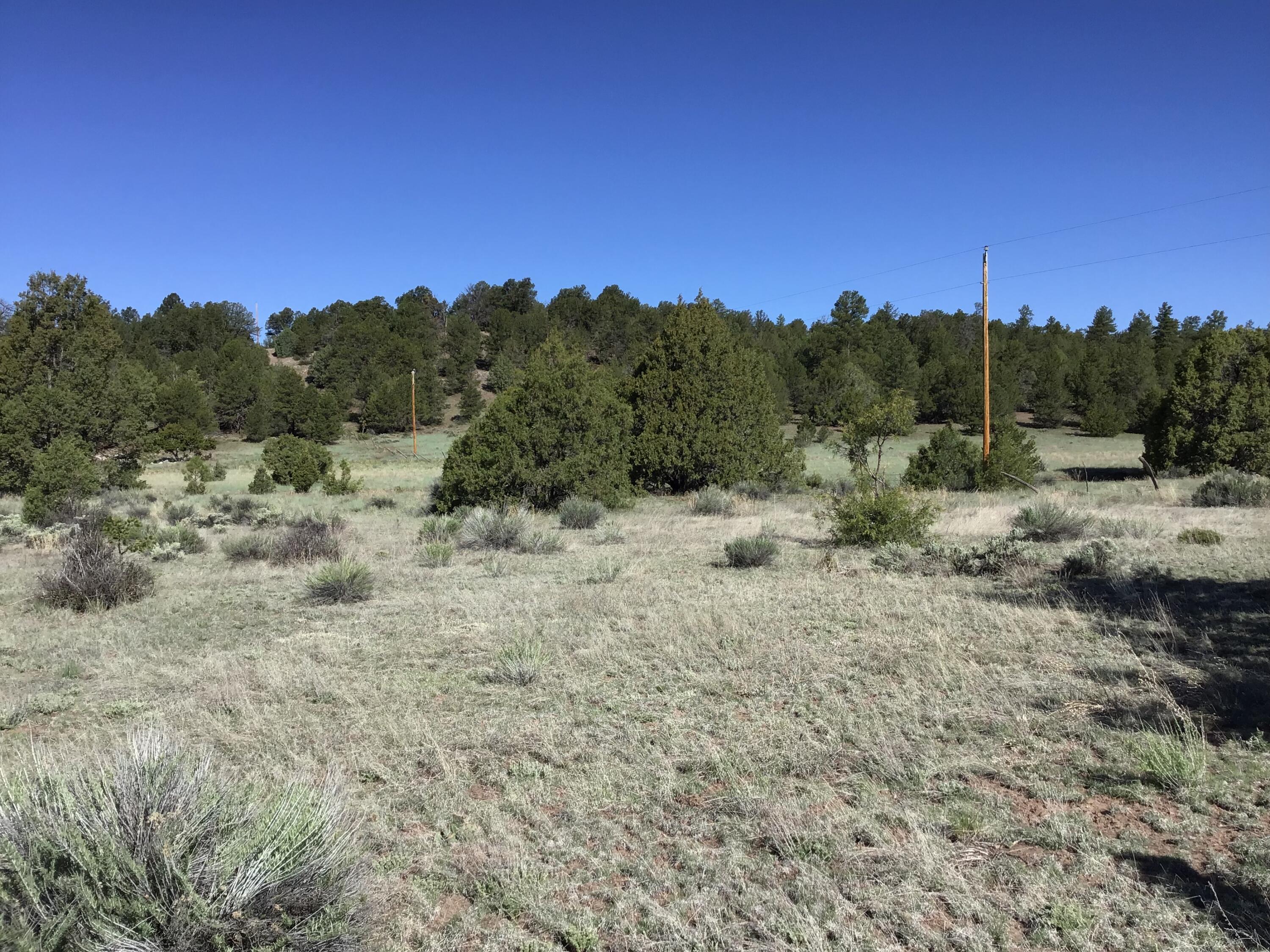 Homes for sale in Ramah, NM | Lot 2 East Elk Rd, Ramah, NM 87321 | MLS# 1064006