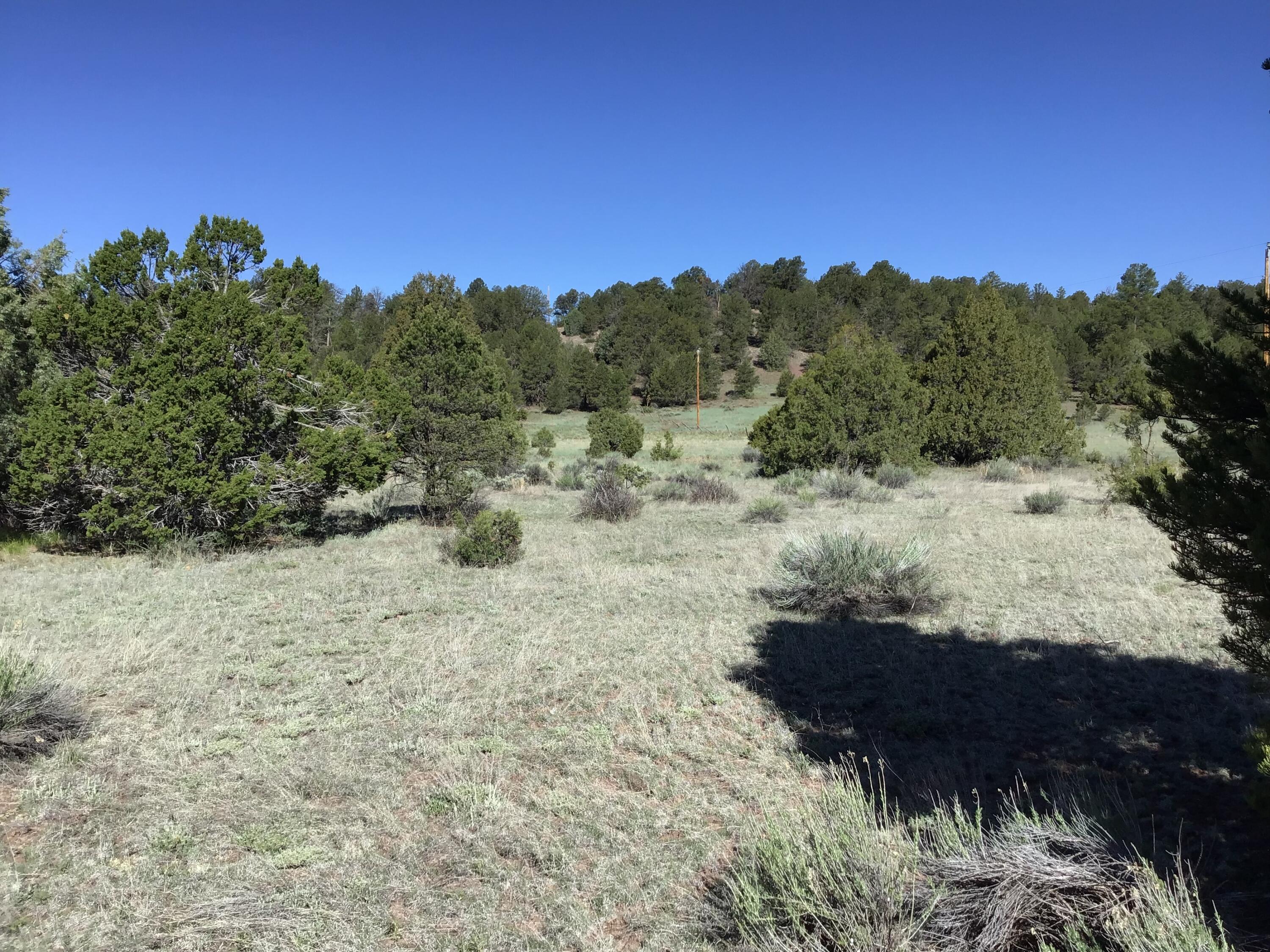 Homes for sale in Ramah, NM | Lot 2 East Elk Rd, Ramah, NM 87321 | MLS# 1064006