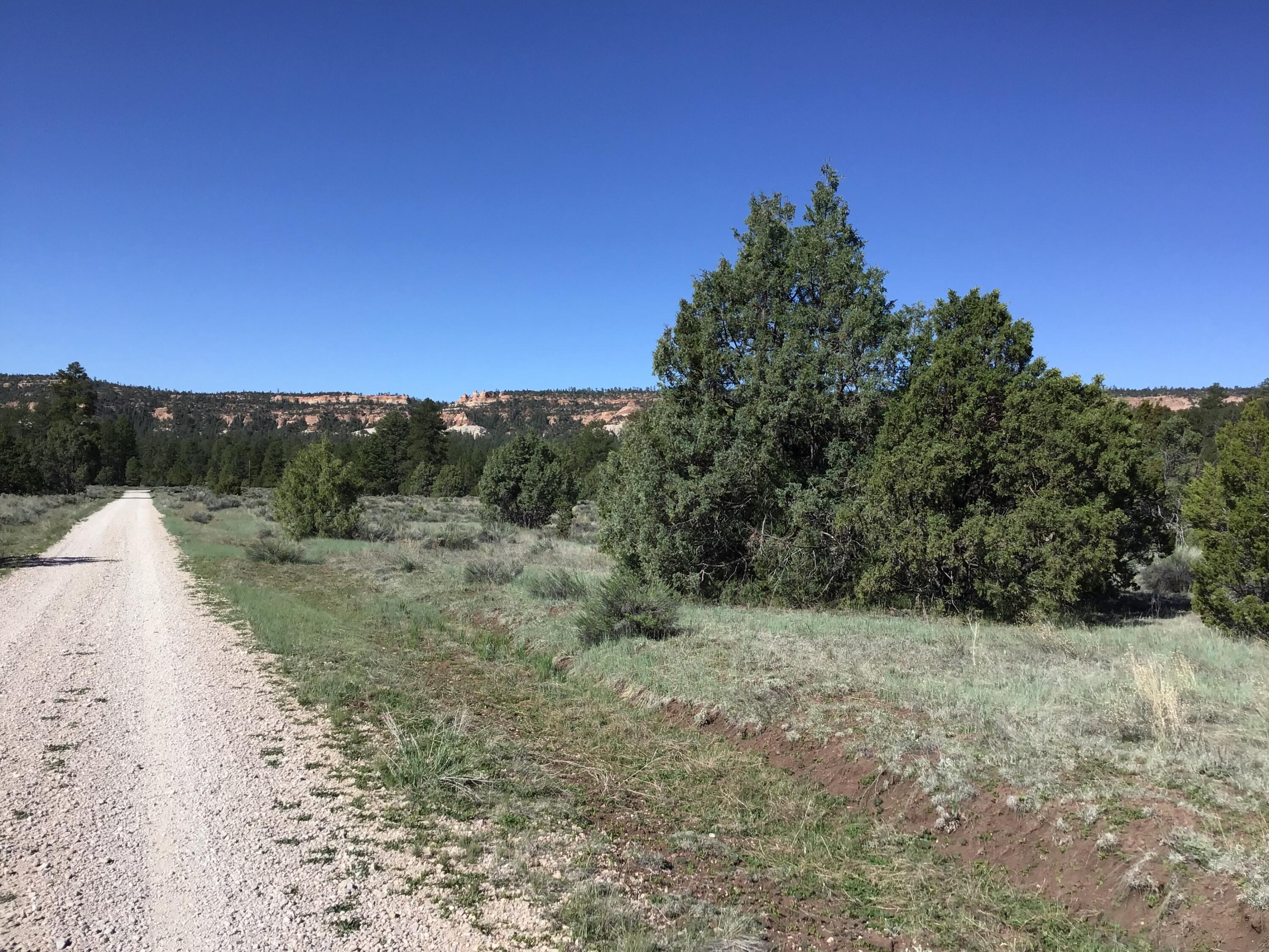 Homes for sale in Ramah, NM | Lot 2 East Elk Rd, Ramah, NM 87321 | MLS# 1064006