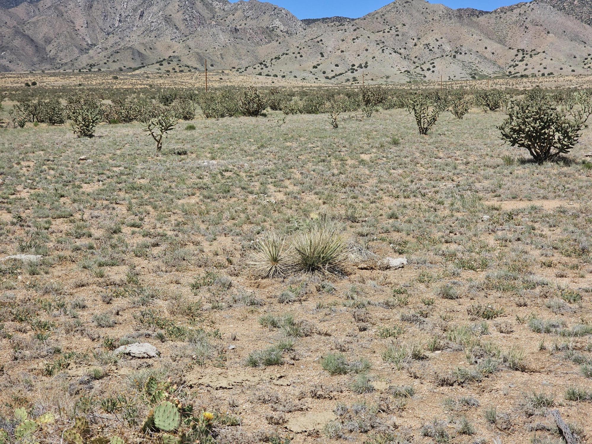 Homes for sale in Rio Communities, NM | Vl 24 Tonada #23, Rio Communities, NM 87002 | MLS# 1064074