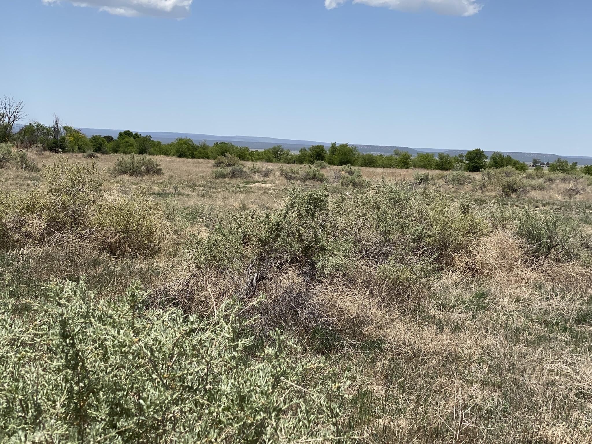 Homes for sale in Estancia, NM | Clements Rd & Andrew Rd Rd, Estancia, NM 87016 | MLS# 1064371