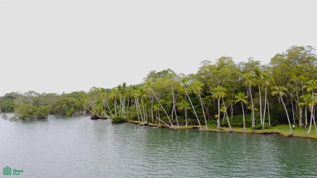 0 bed Land For Sale in Golfito, Puntarenas - 1