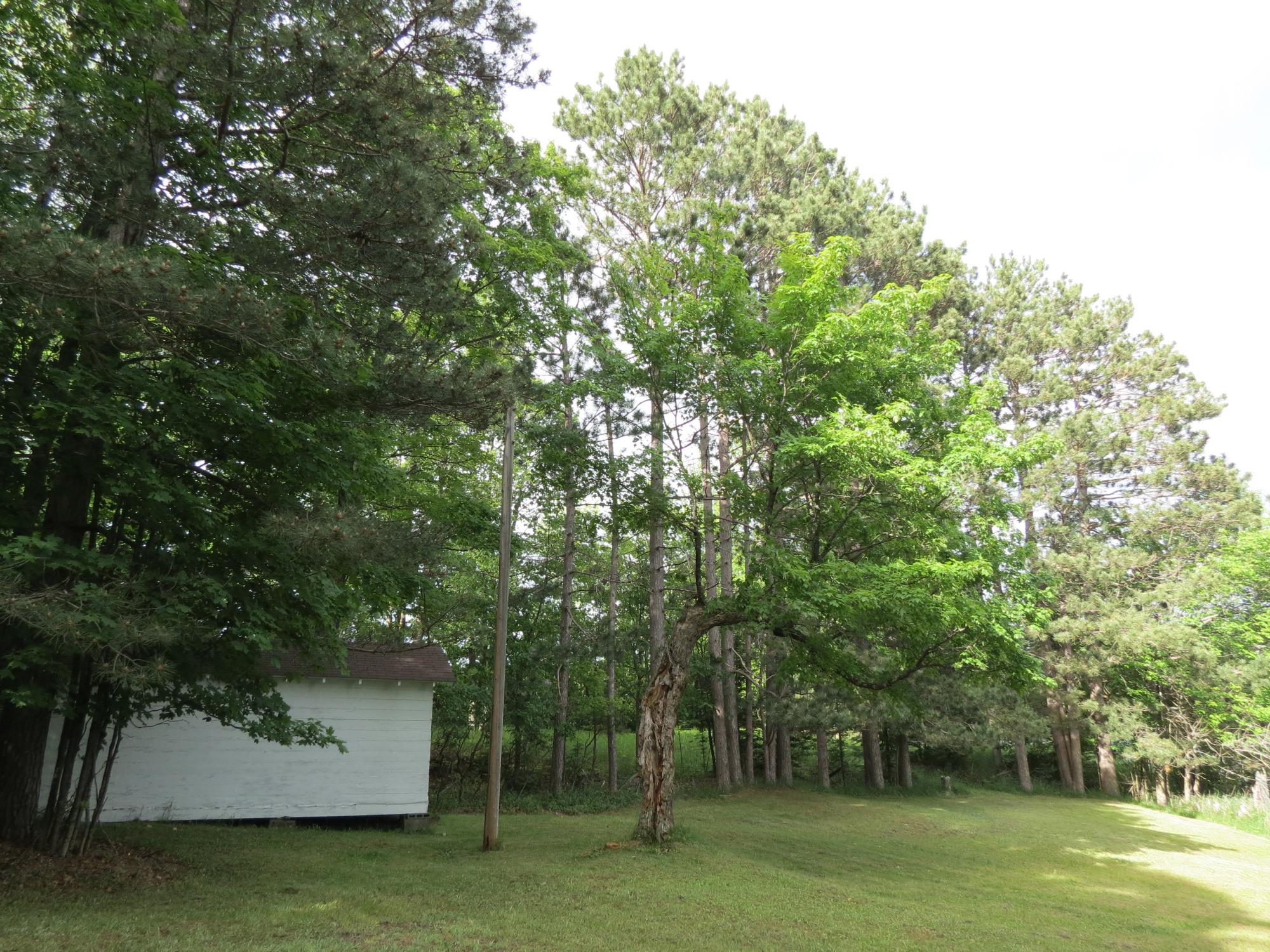 South Turtle Lake Property 2323 Third St Photo 13