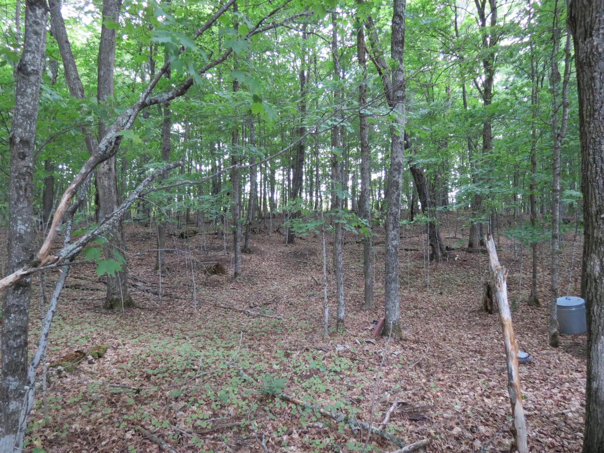 South Turtle Lake Property 2323 Third St Photo 26