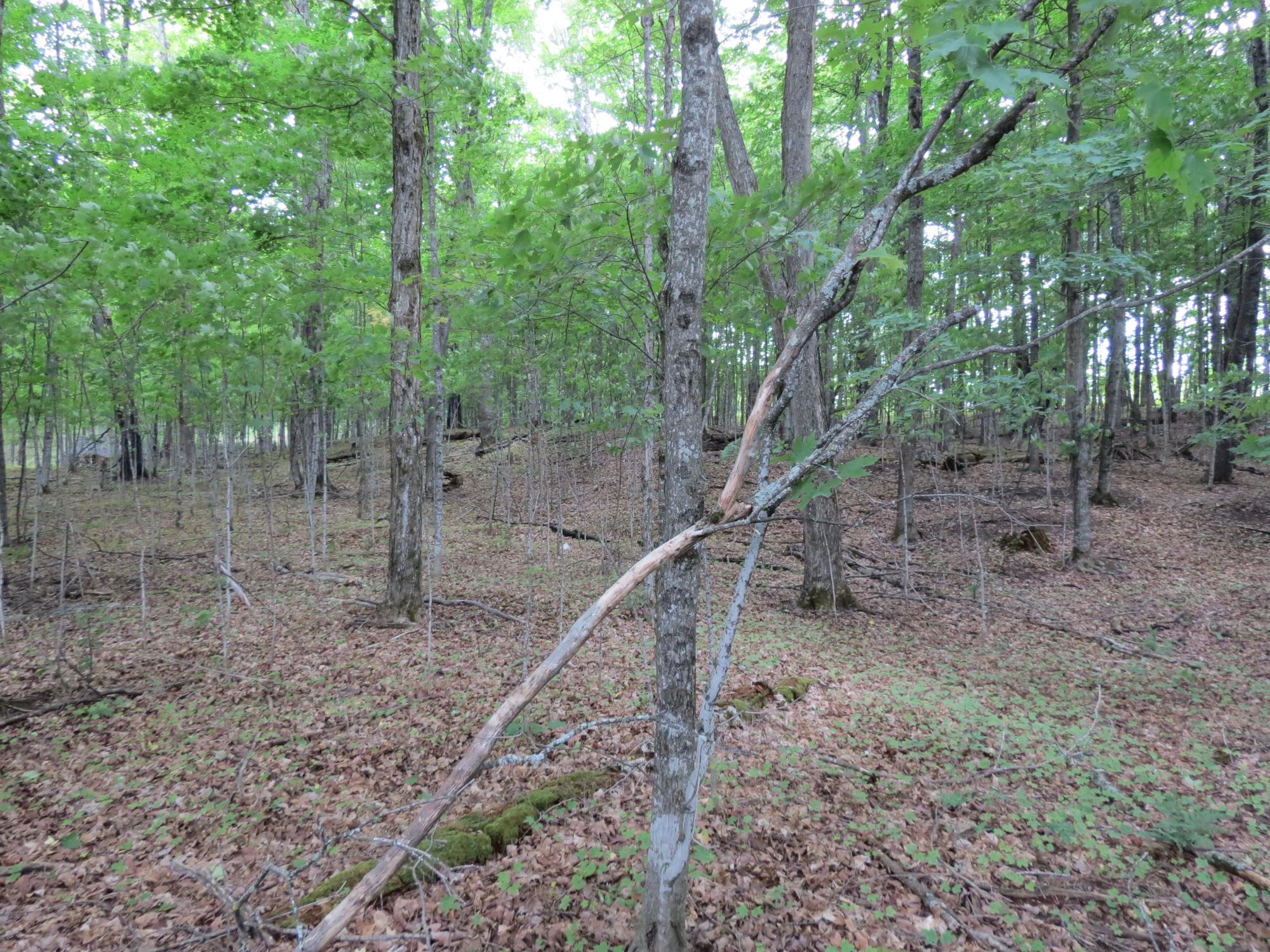 South Turtle Lake Property 2323 Third St Photo 27