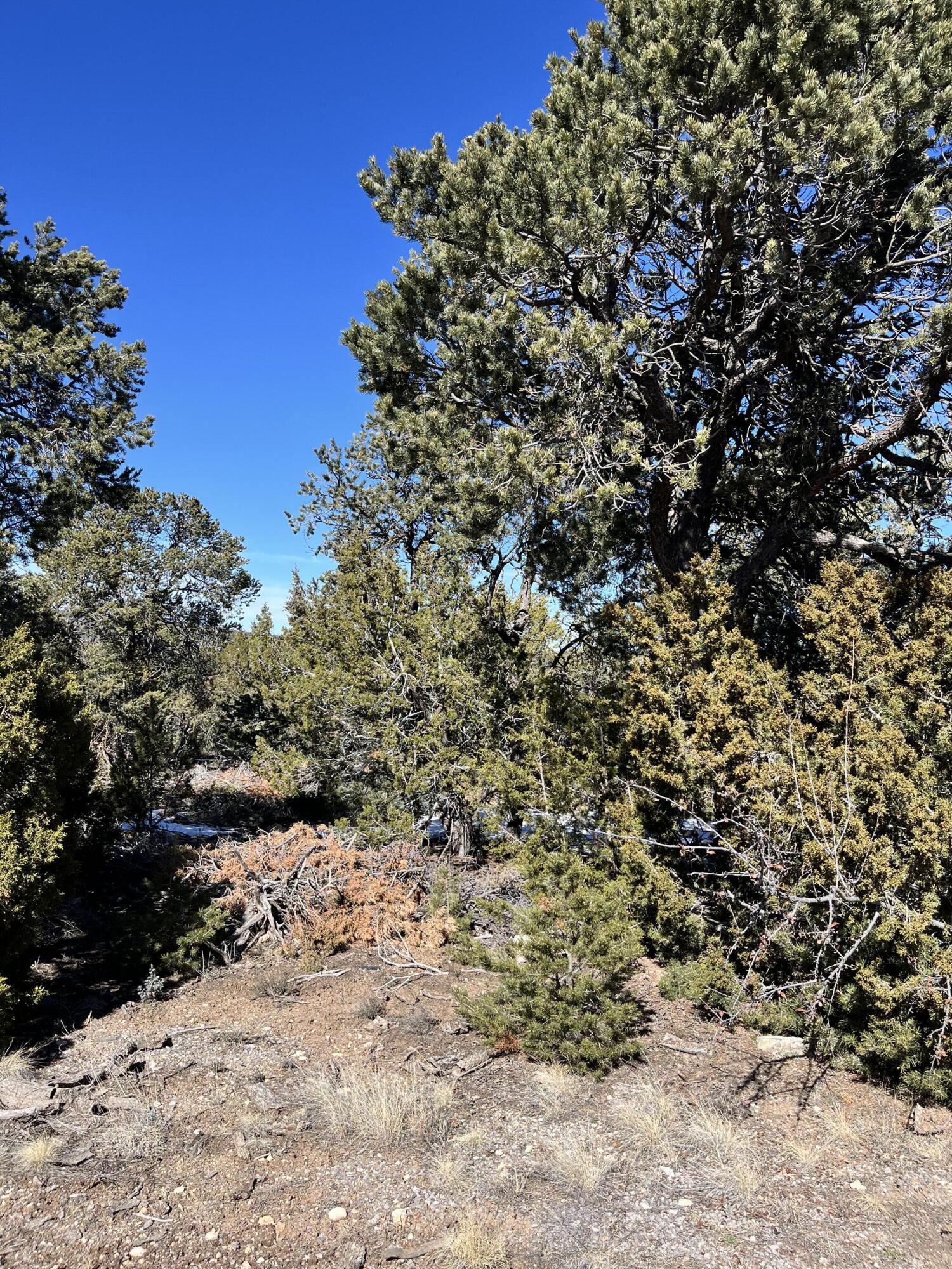 Homes for sale in Glorieta, NM | Glorieta, Glorieta, NM 87535 | MLS# 1066146