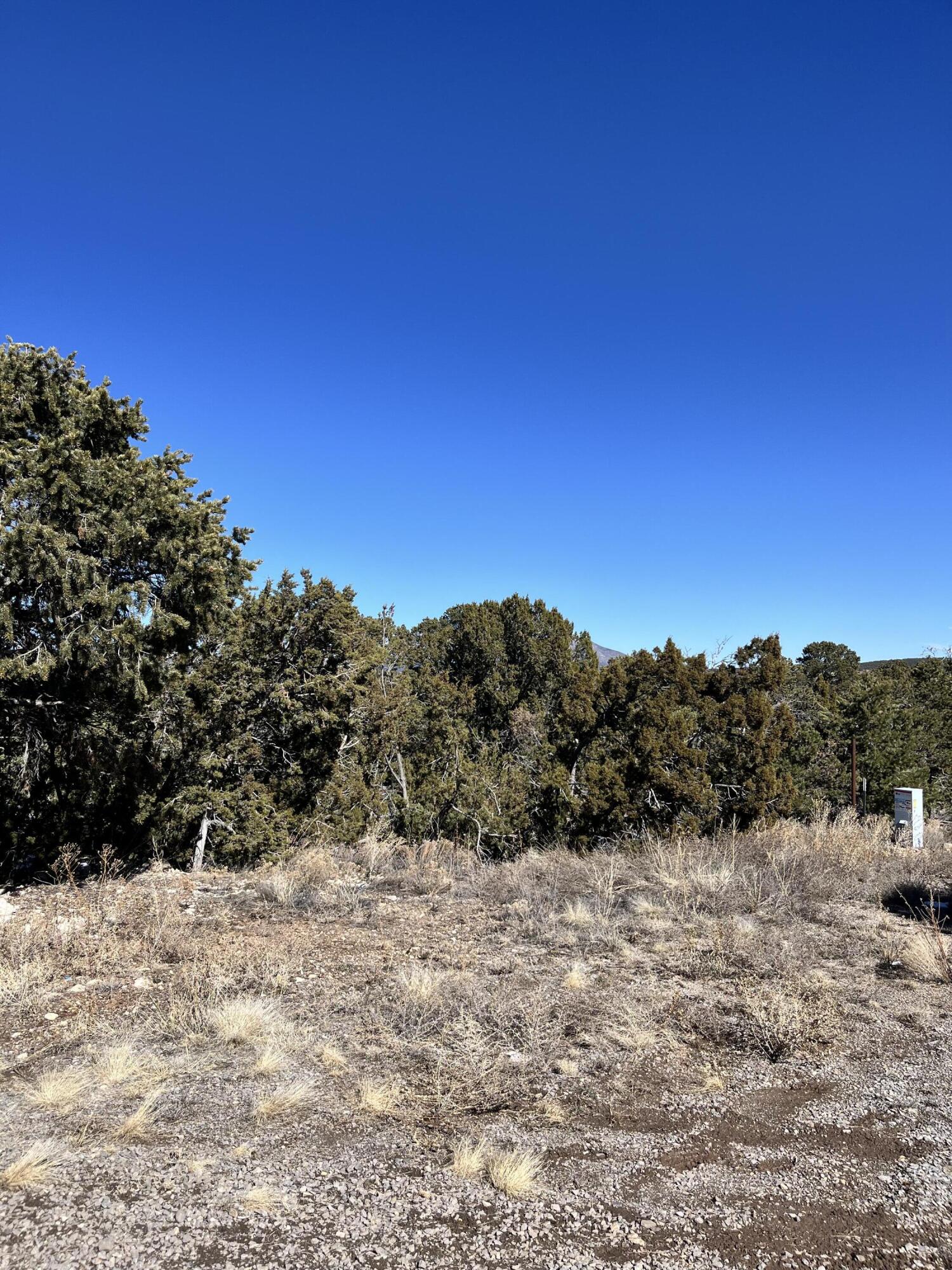 Homes for sale in Glorieta, NM | Glorieta, Glorieta, NM 87535 | MLS# 1066146