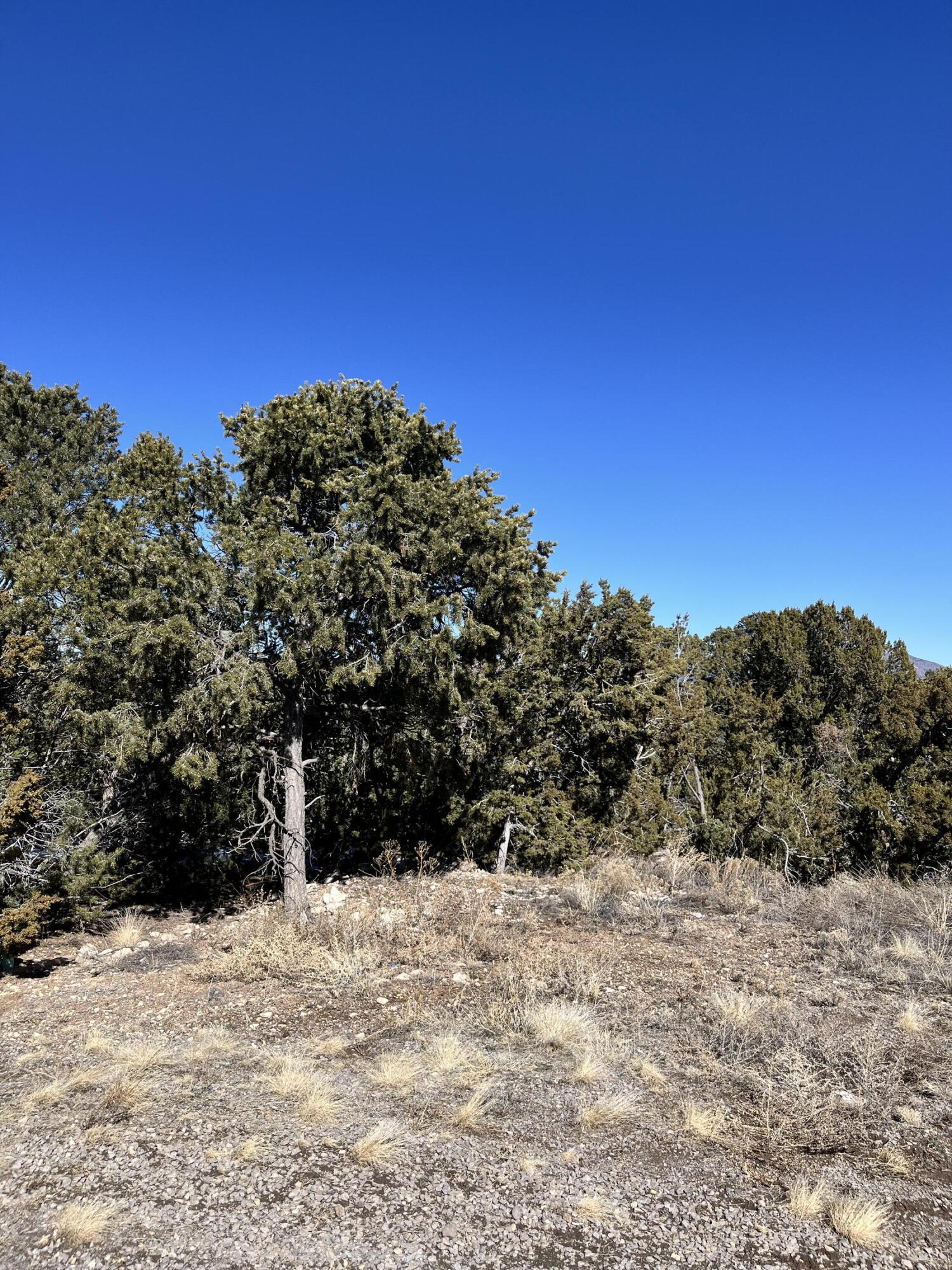 Homes for sale in Glorieta, NM | Glorieta, Glorieta, NM 87535 | MLS# 1066146