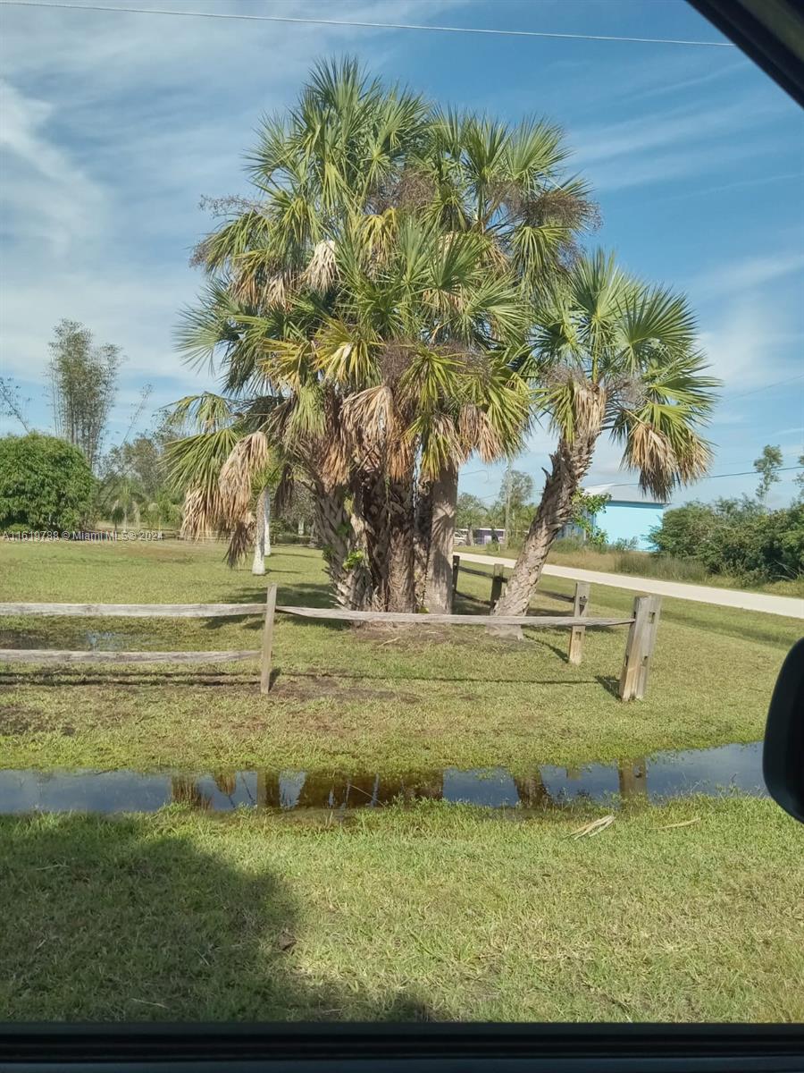 Bayshores