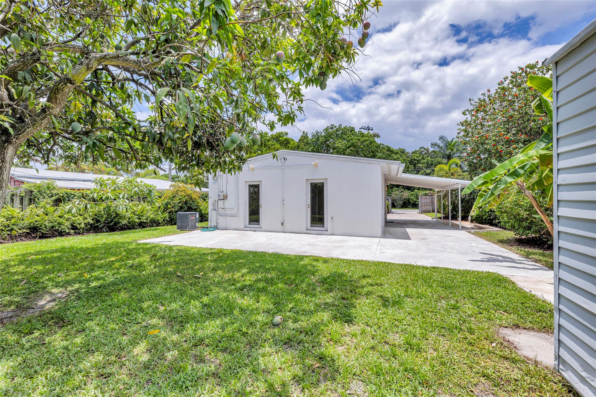 Backyard with beautiful mango tree.  View of back patio and carport.