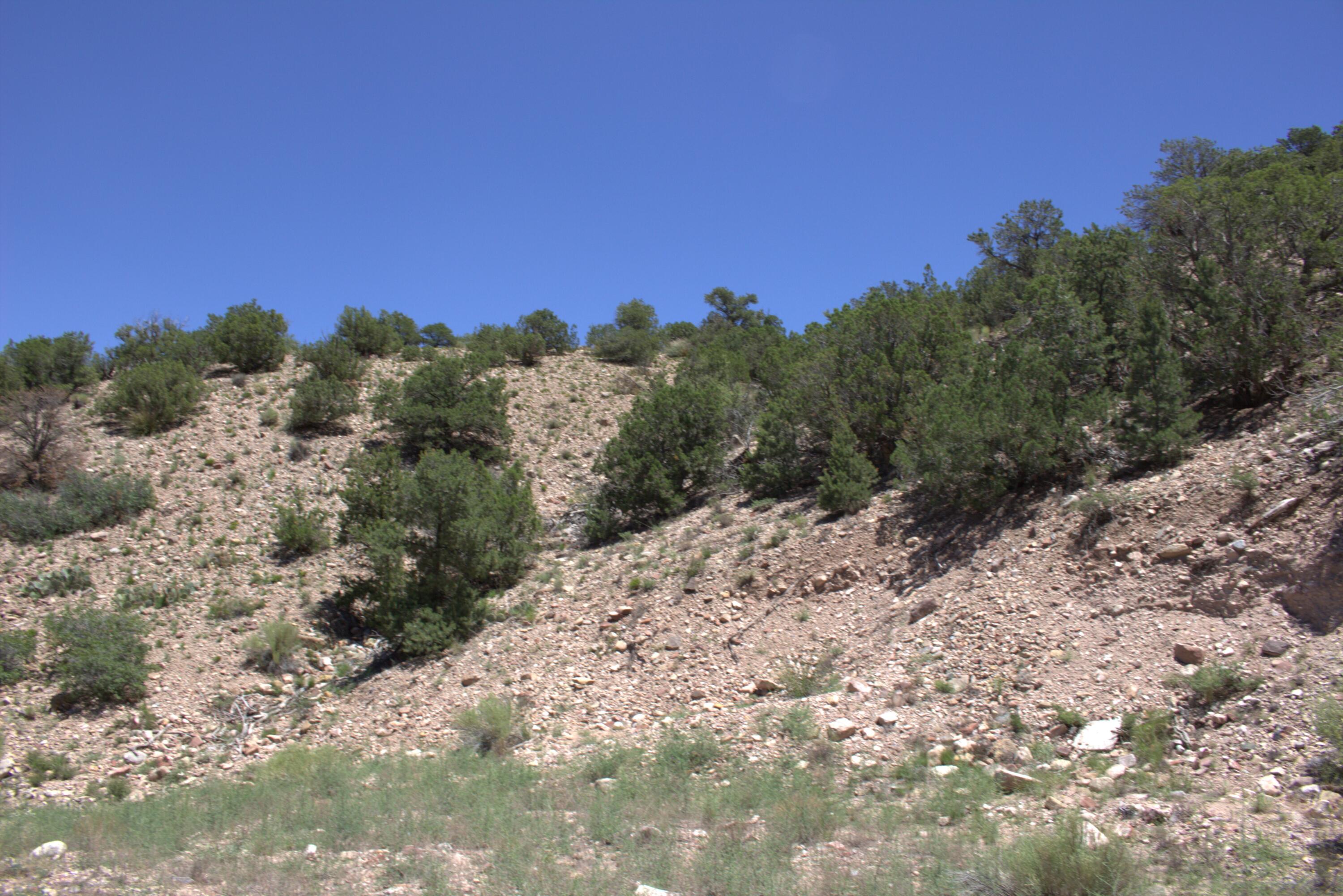 Photo 11 —  Tres Amigos