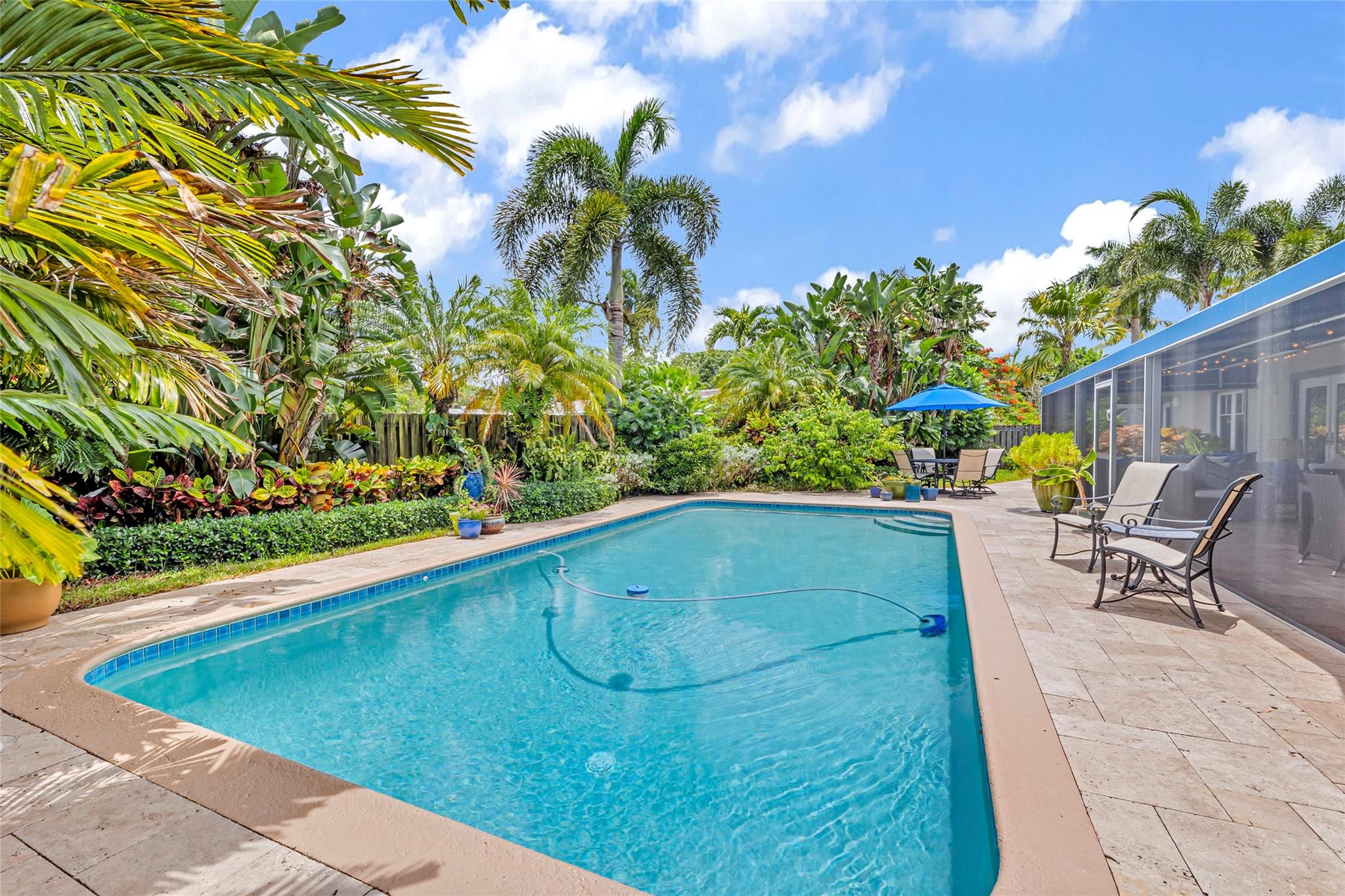 Large pool with heating and cooling in fenced and secluded backyard