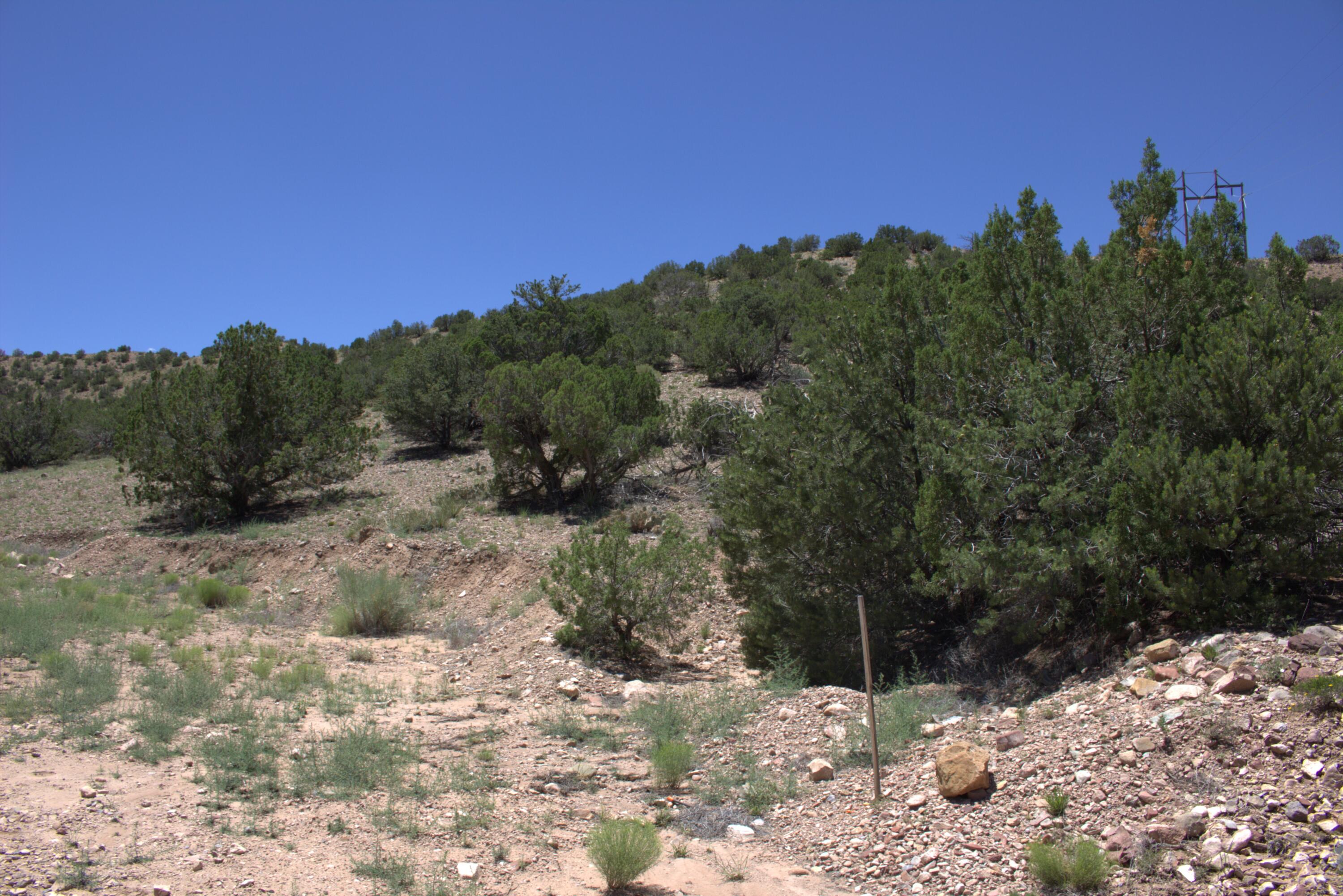 Homes for sale in Placitas, NM | Tres Amigos Rd, Placitas, NM 87043 | MLS# 1067291