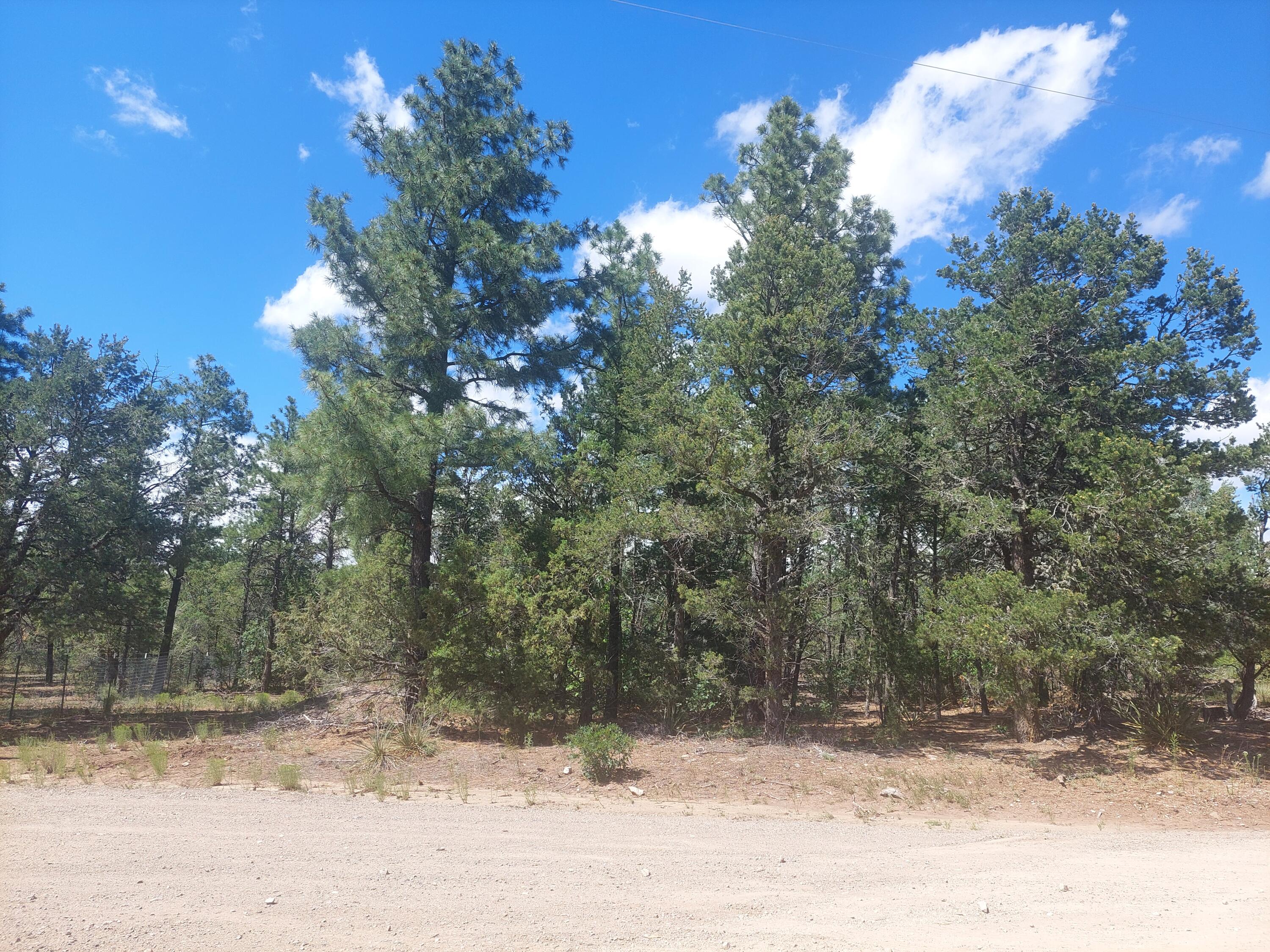 Homes for sale in Tijeras, NM | 16 Secret Pines Ct, Tijeras, NM 87059 | MLS# 1067670
