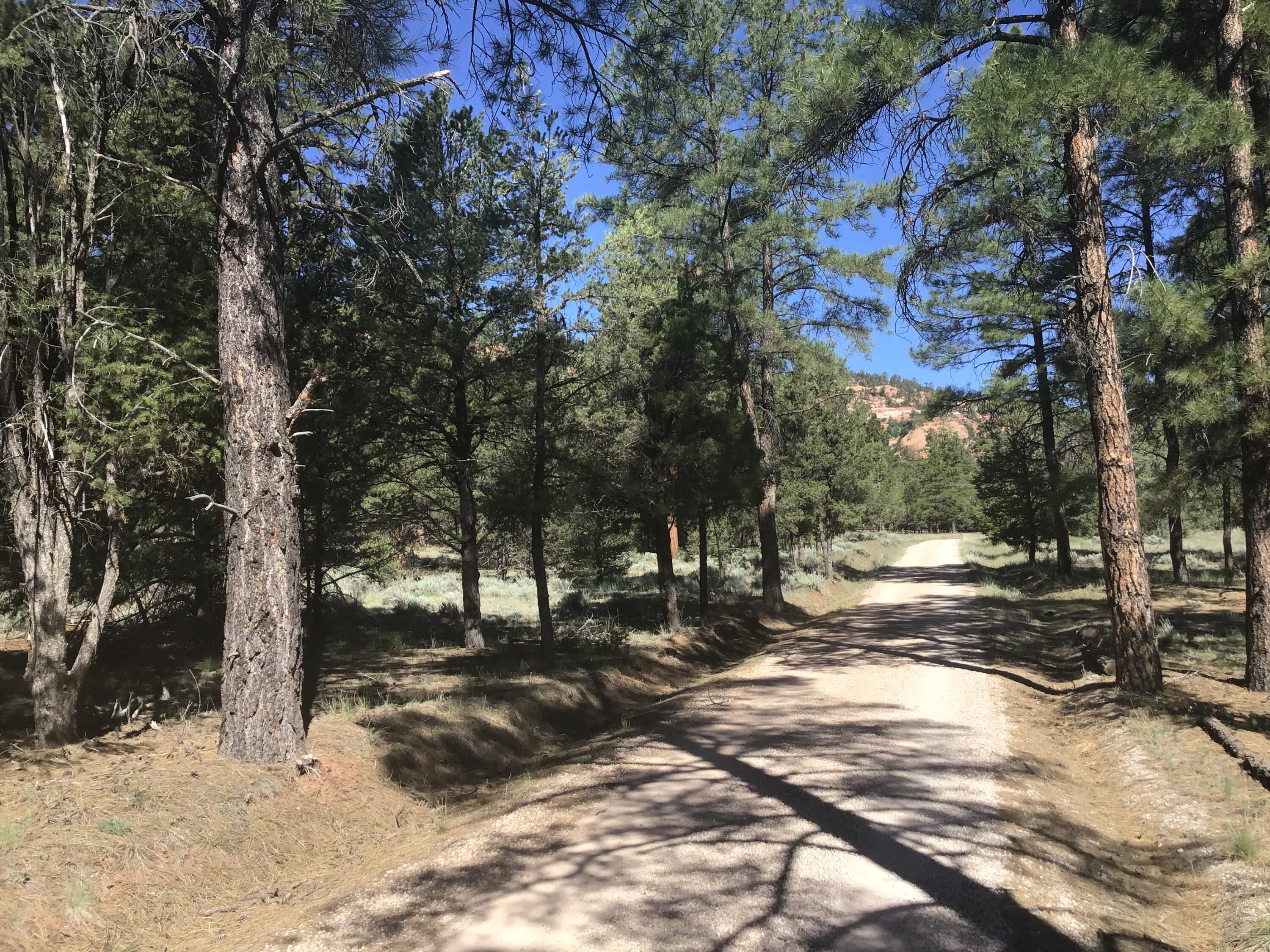 Homes for sale in Ramah, NM | Lot 33 Aspen Loop, Ramah, NM 87321 | MLS# 1067712