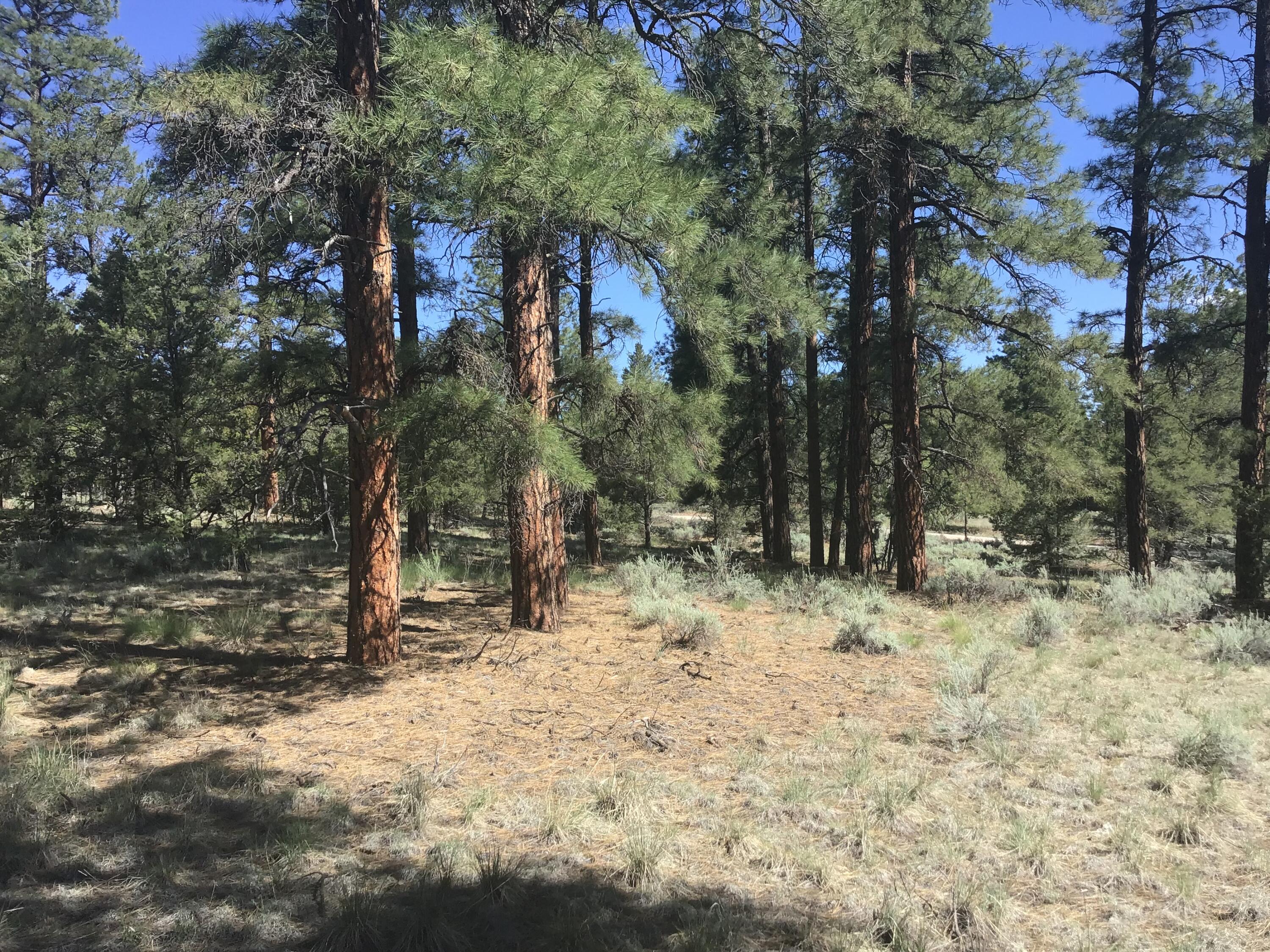 Homes for sale in Ramah, NM | Lot 33 Aspen Loop, Ramah, NM 87321 | MLS# 1067712