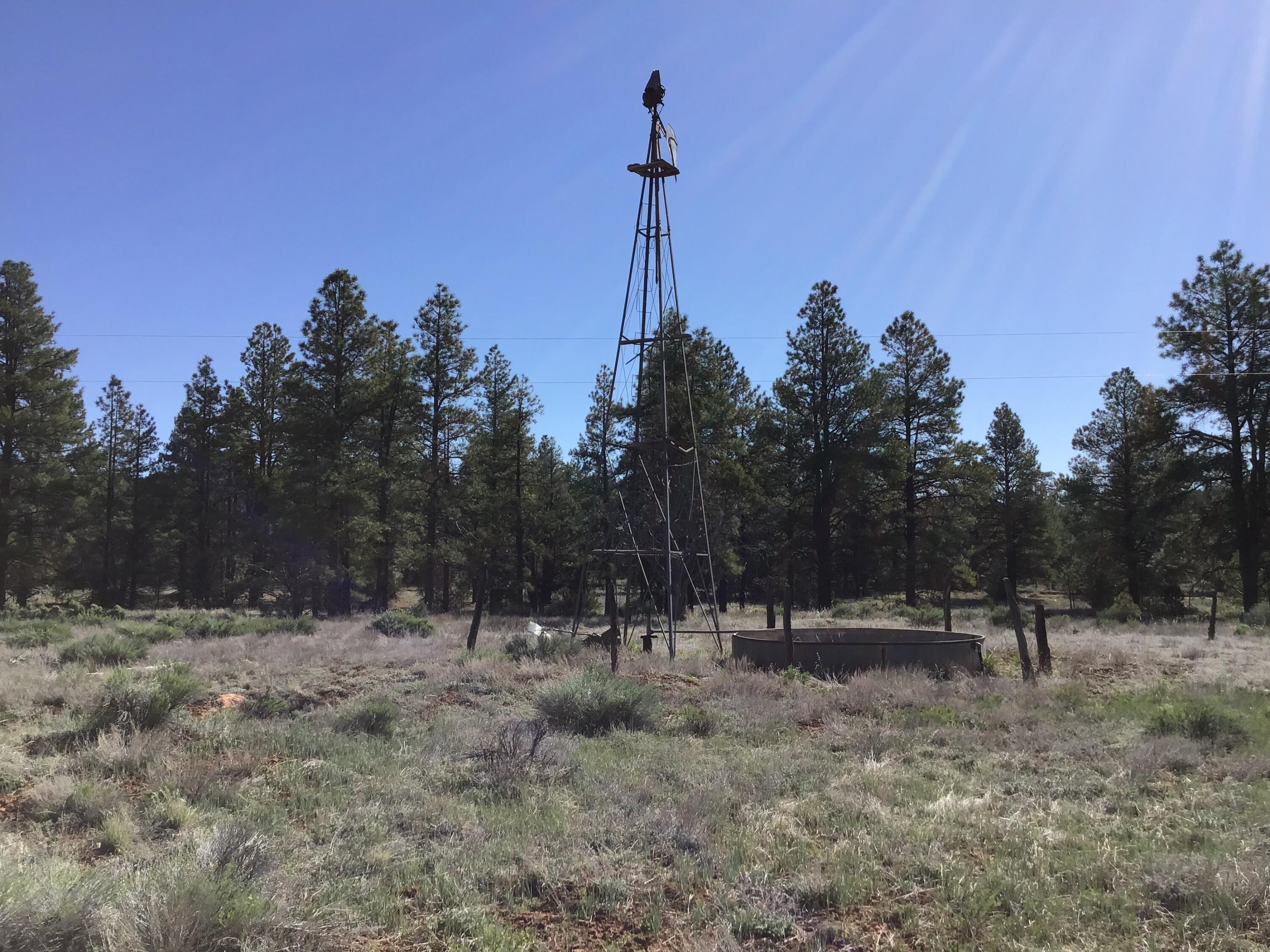 Photo 4 — Lot 23 Cottonwood Lane
